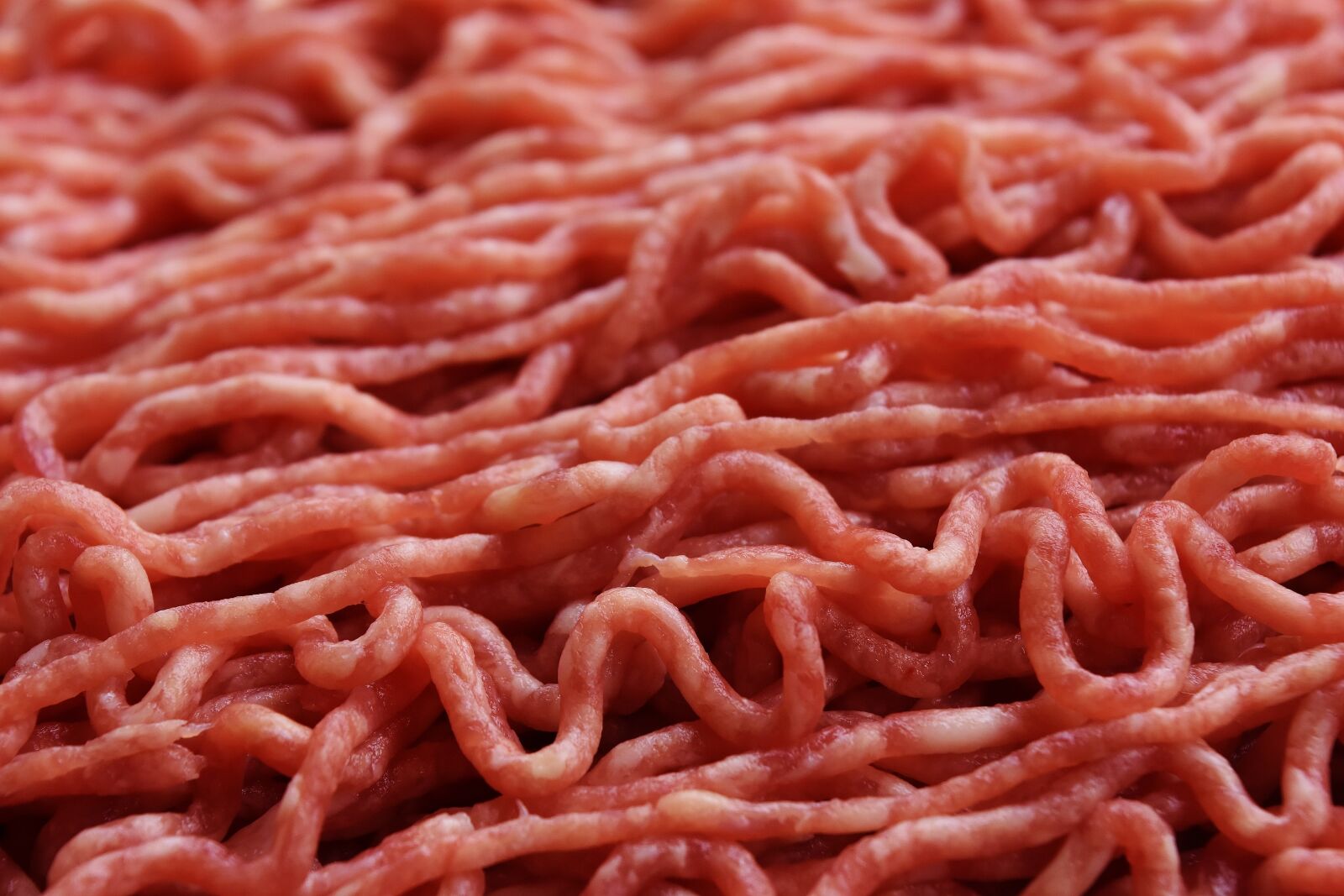 Nikon D7200 sample photo. Minced meat, meat, minced photography