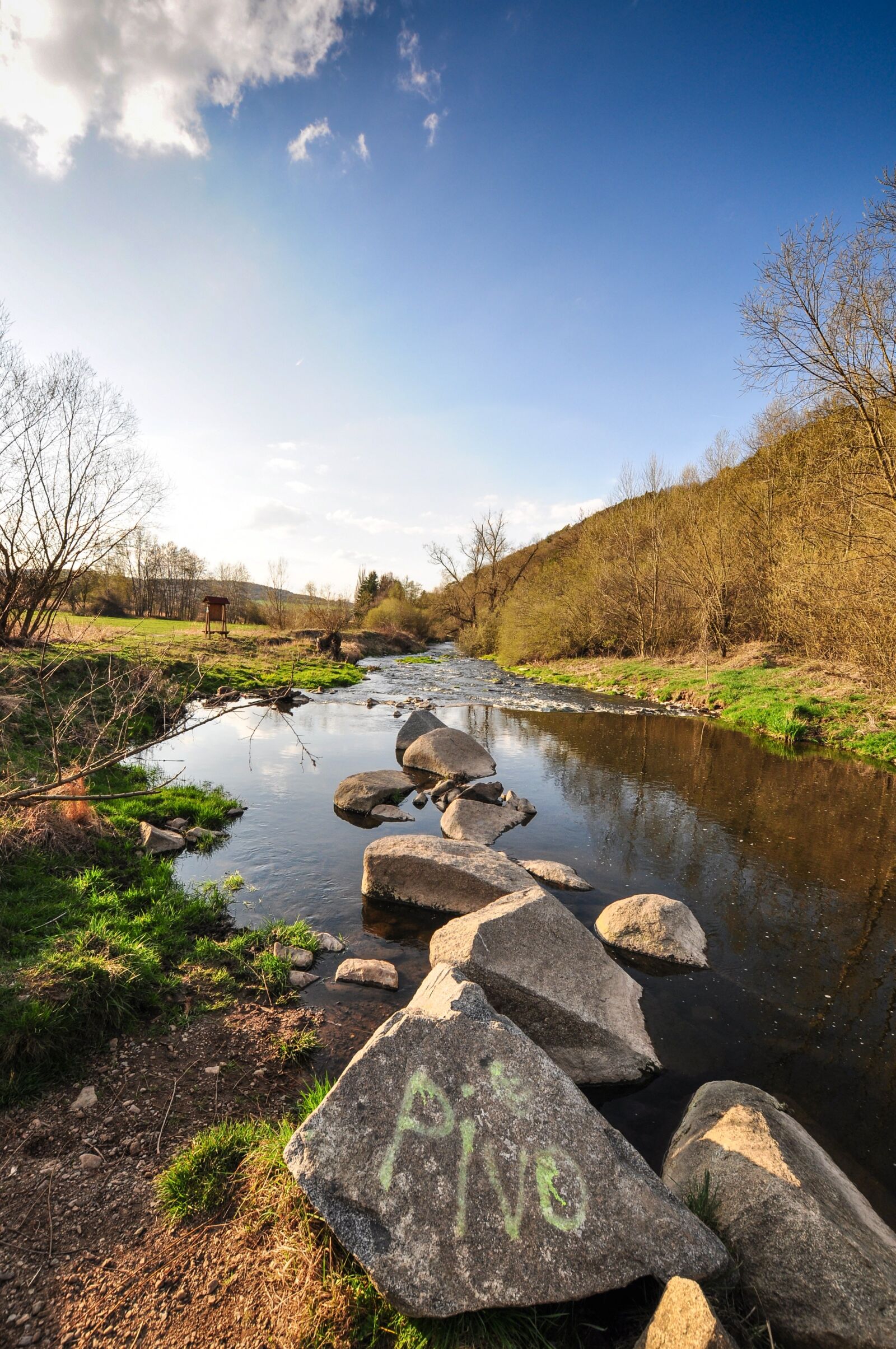 Nikon D90 sample photo. Stream, stones, water photography