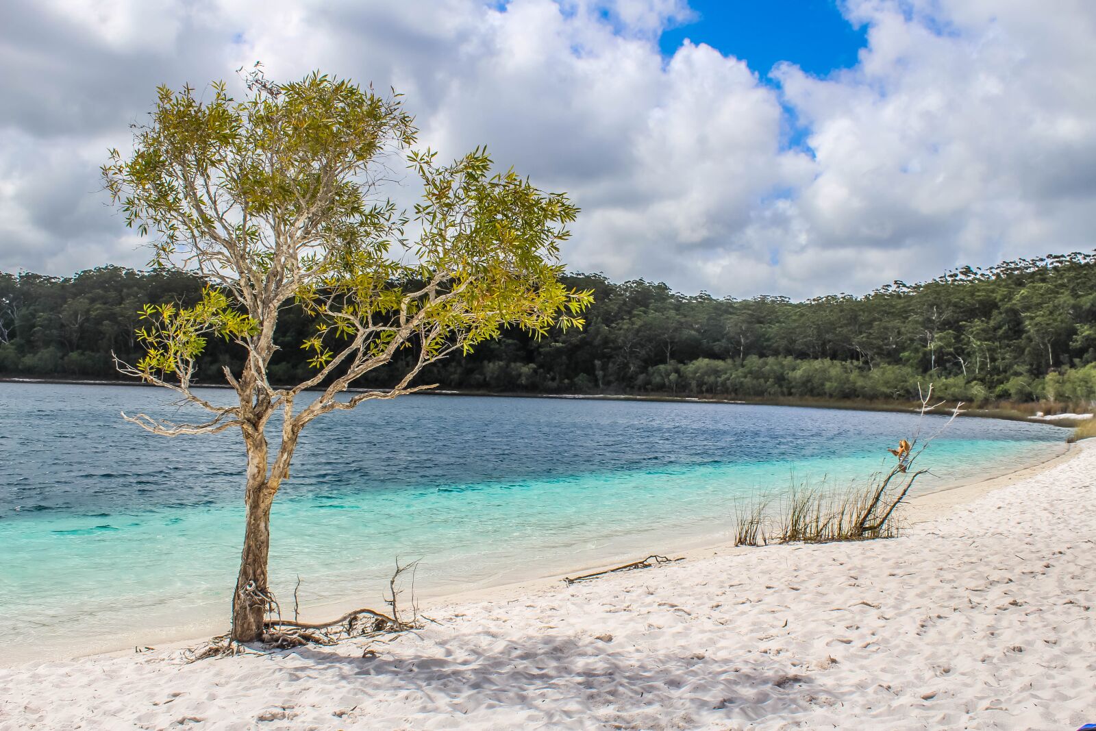 Canon EOS 700D (EOS Rebel T5i / EOS Kiss X7i) sample photo. Beach, dock, fraser island photography