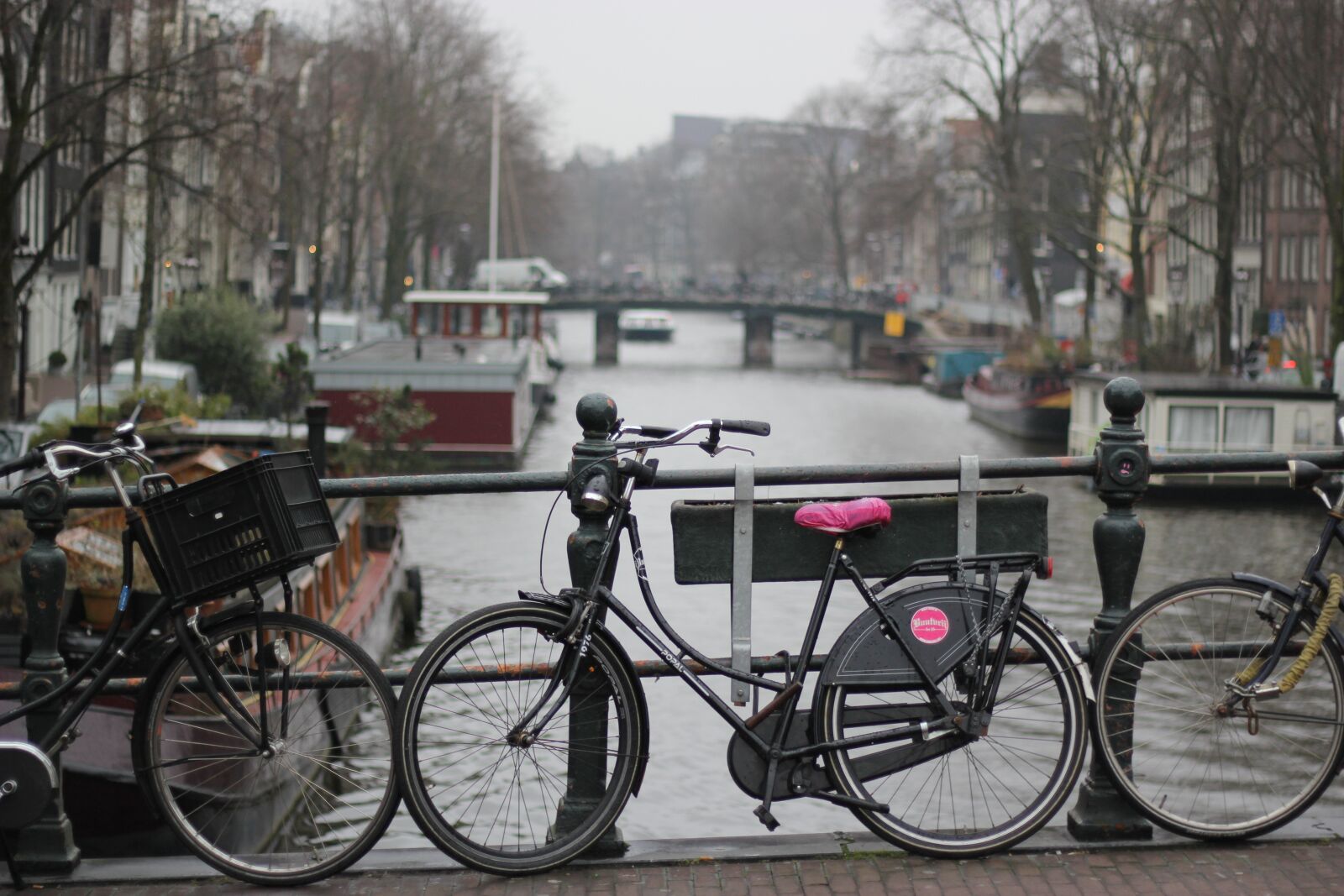 Canon EOS 60D + Canon EF 50mm F1.8 II sample photo. Amsterdam, bicycle, winter photography