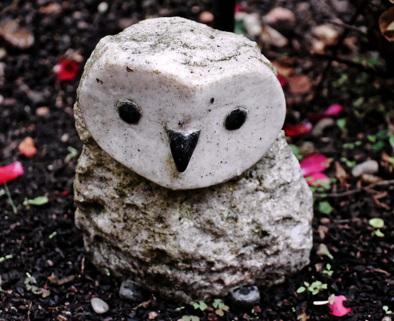 Nikon D7200 sample photo. Owl, figure, stone photography