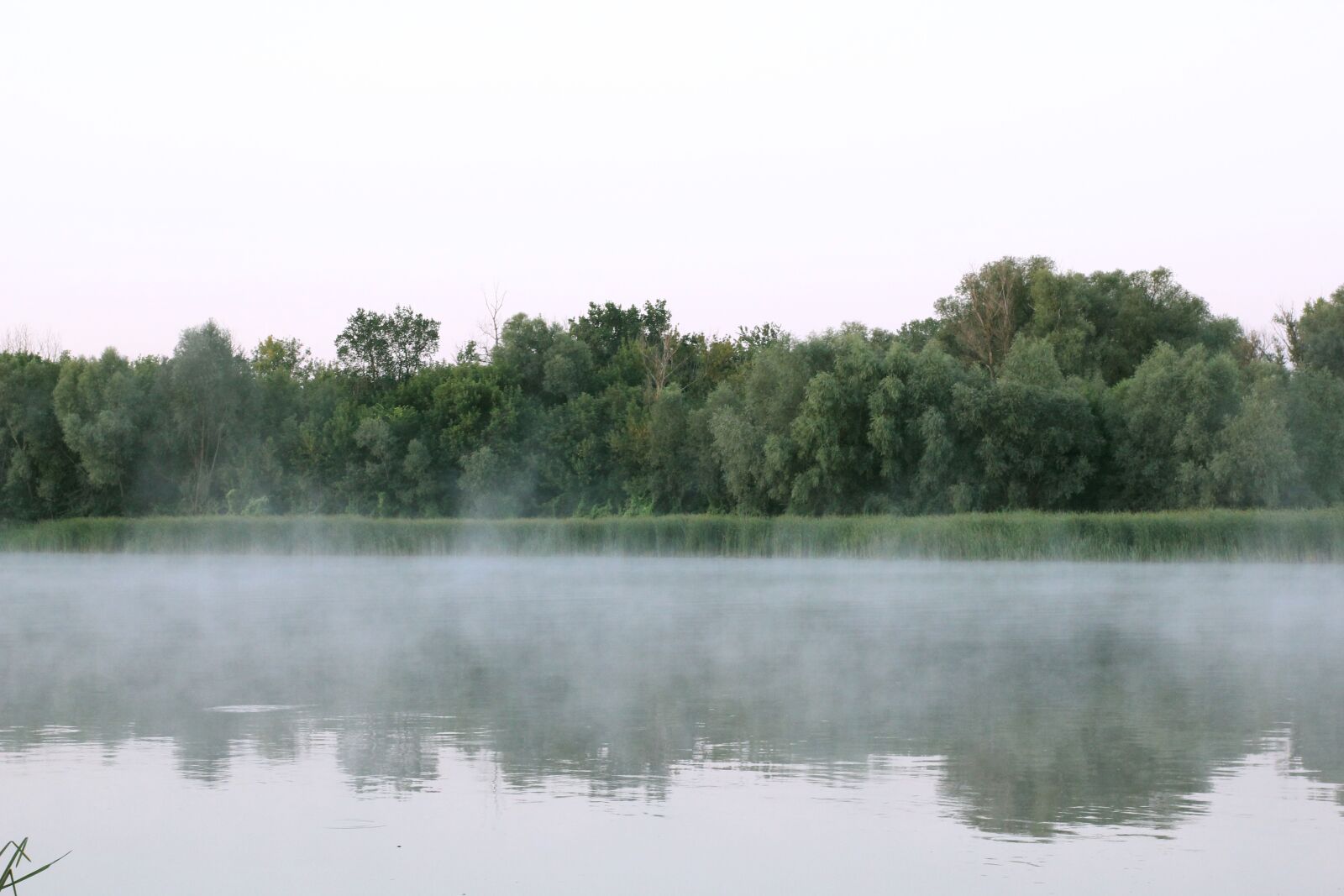 Canon EOS 550D (EOS Rebel T2i / EOS Kiss X4) sample photo. Dawn, fog, landscape photography