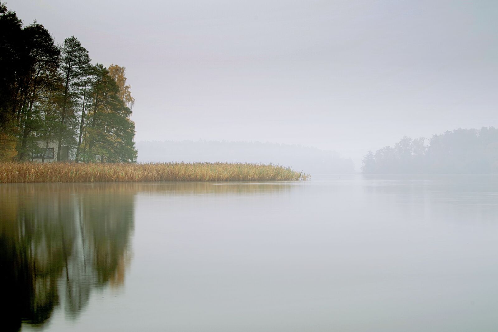 Pentax K-S2 sample photo. Lake, the fog, pond photography