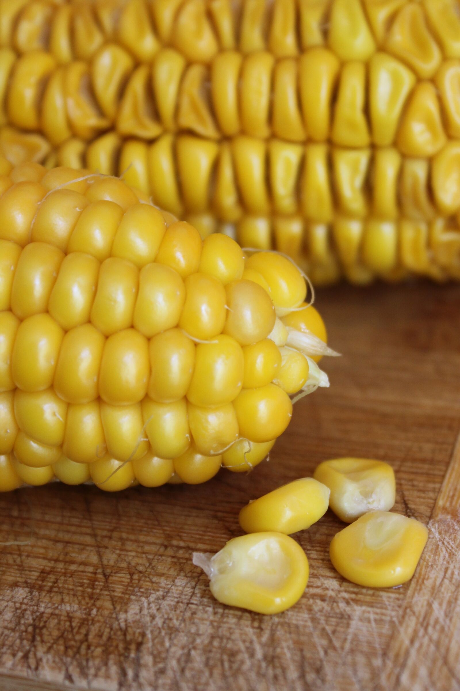 Canon EOS 550D (EOS Rebel T2i / EOS Kiss X4) sample photo. Corn, close up, food photography