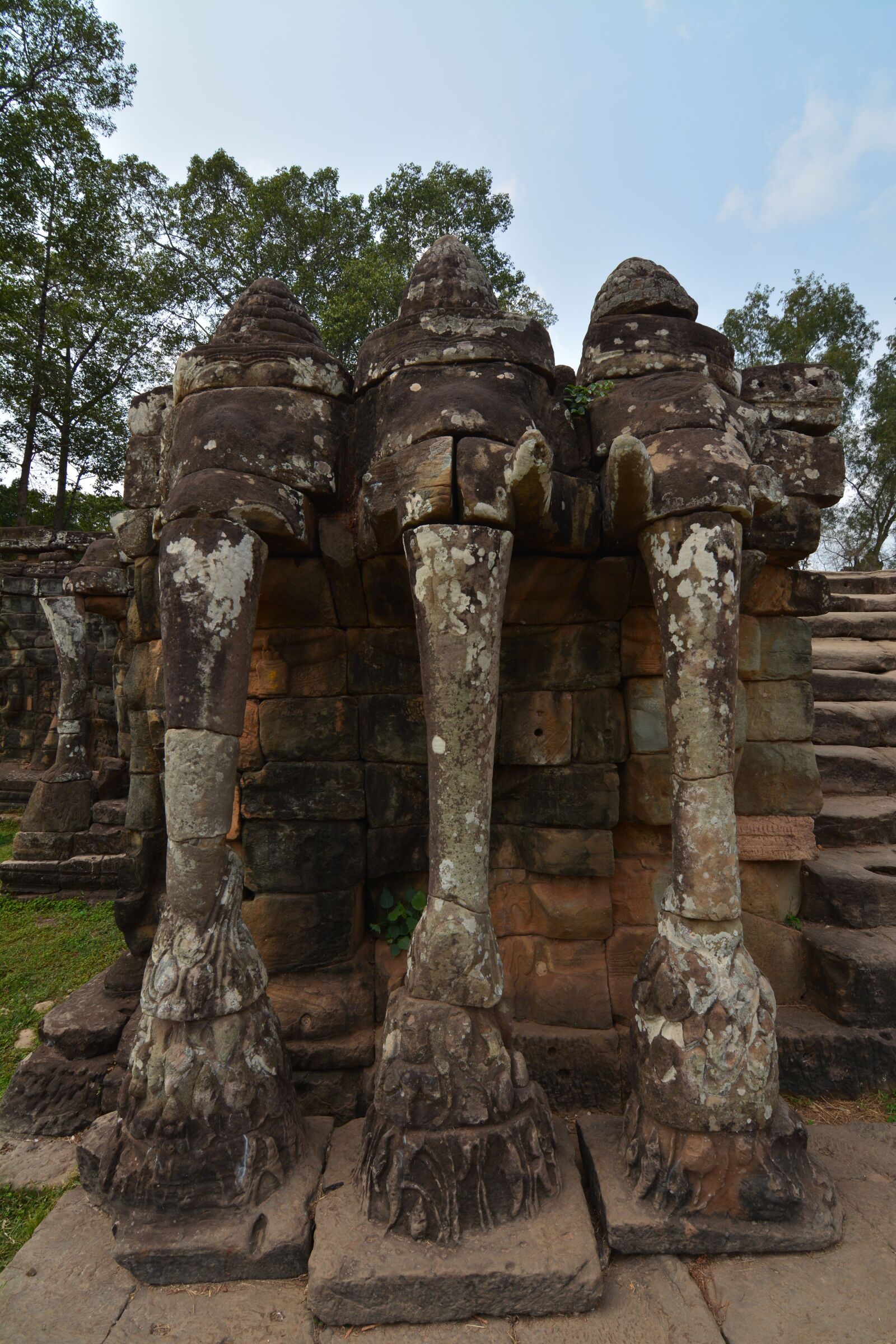 Nikon D7100 sample photo