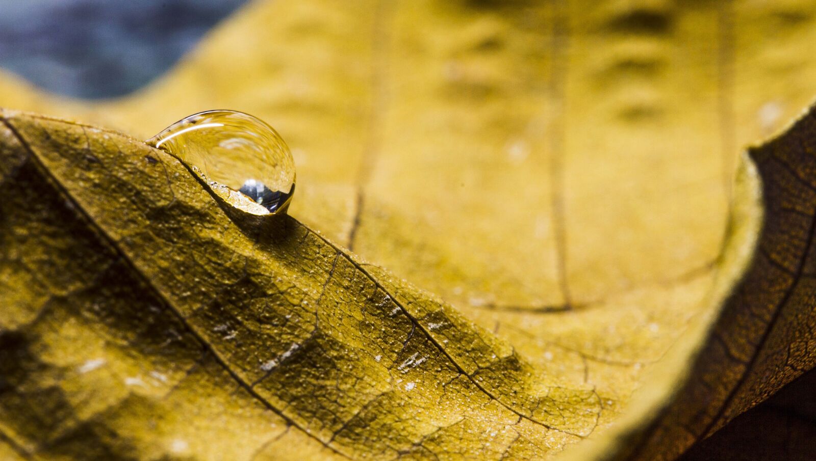 Canon EOS 7D sample photo. Nature, water, texture photography