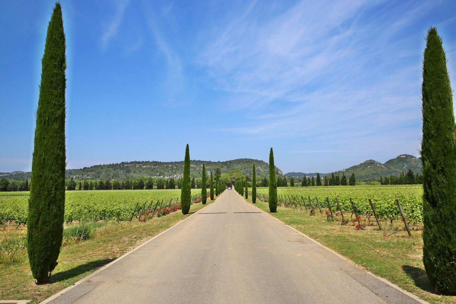 Canon EF 24-70mm F2.8L II USM sample photo. Southern france, freedom to photography