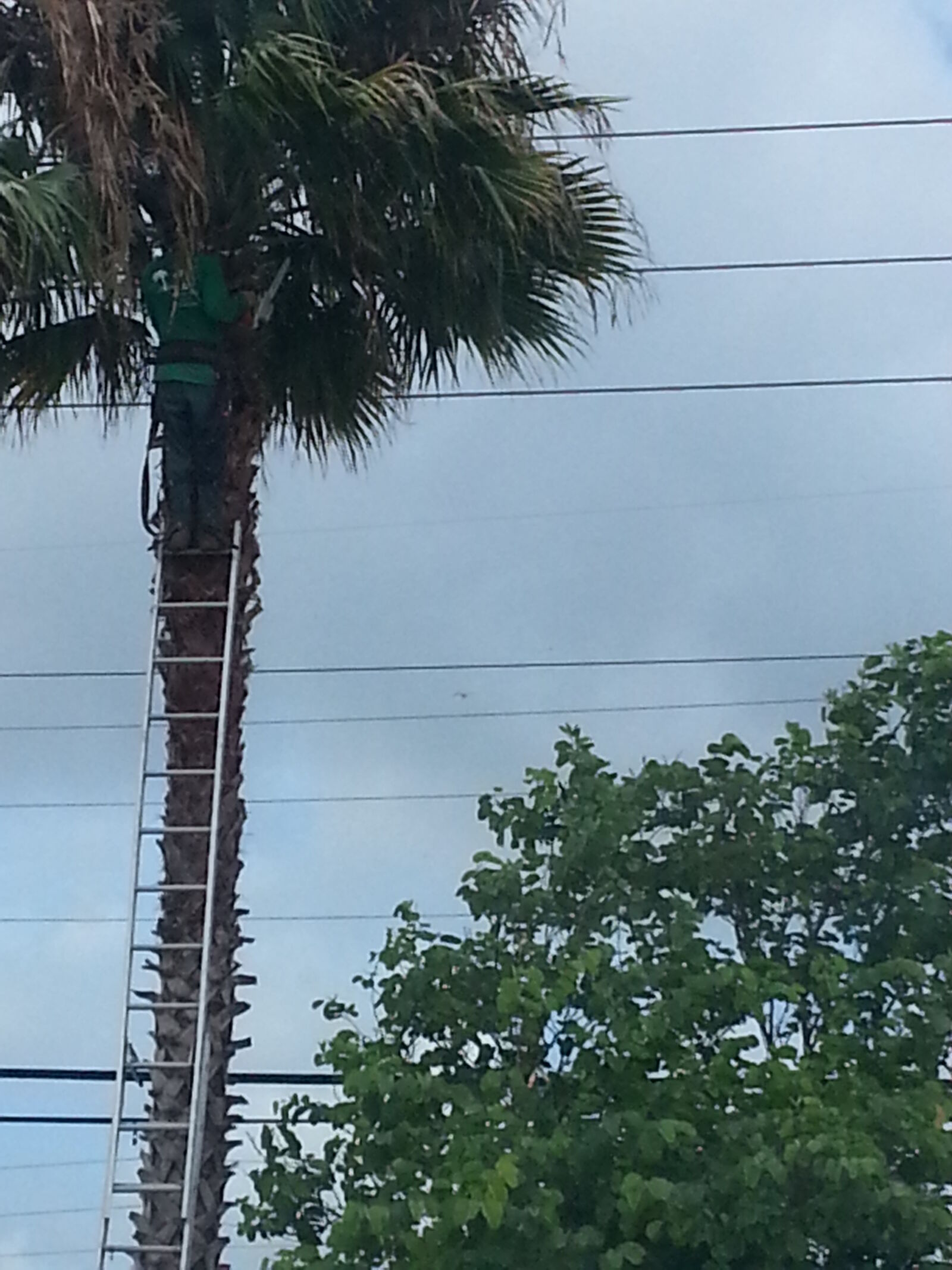 Samsung Galaxy S3 sample photo. Man, standing, on, top photography