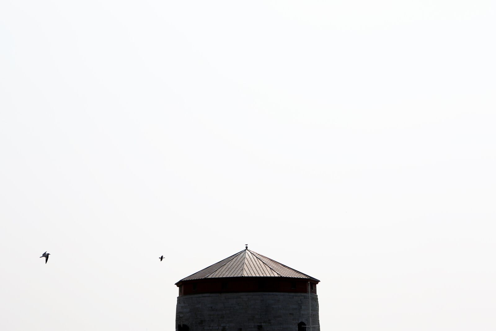 Canon EF 24-70mm F2.8L USM sample photo. White, sky, birds photography
