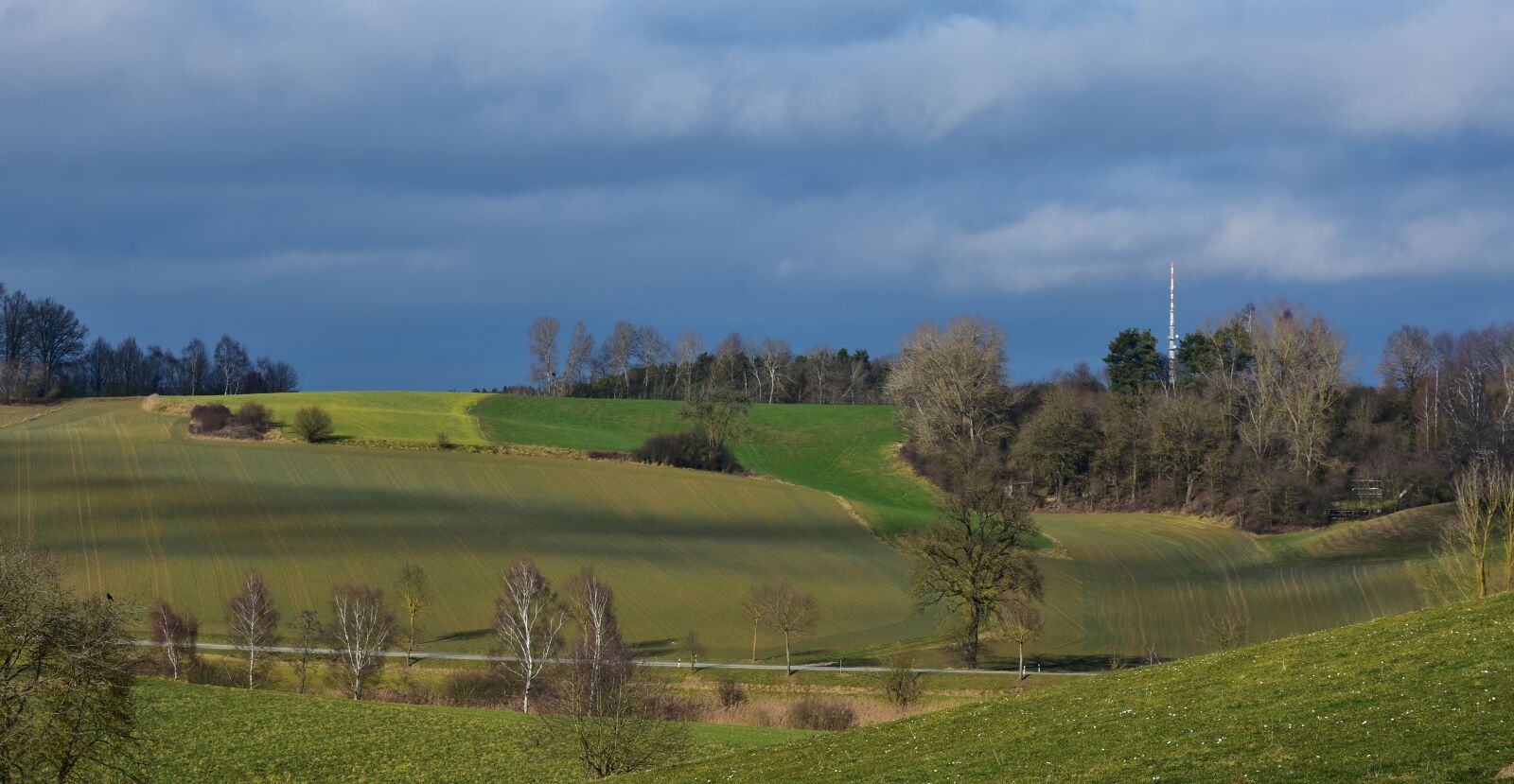 Nikon D7200 sample photo. Nature, grass, landscape photography