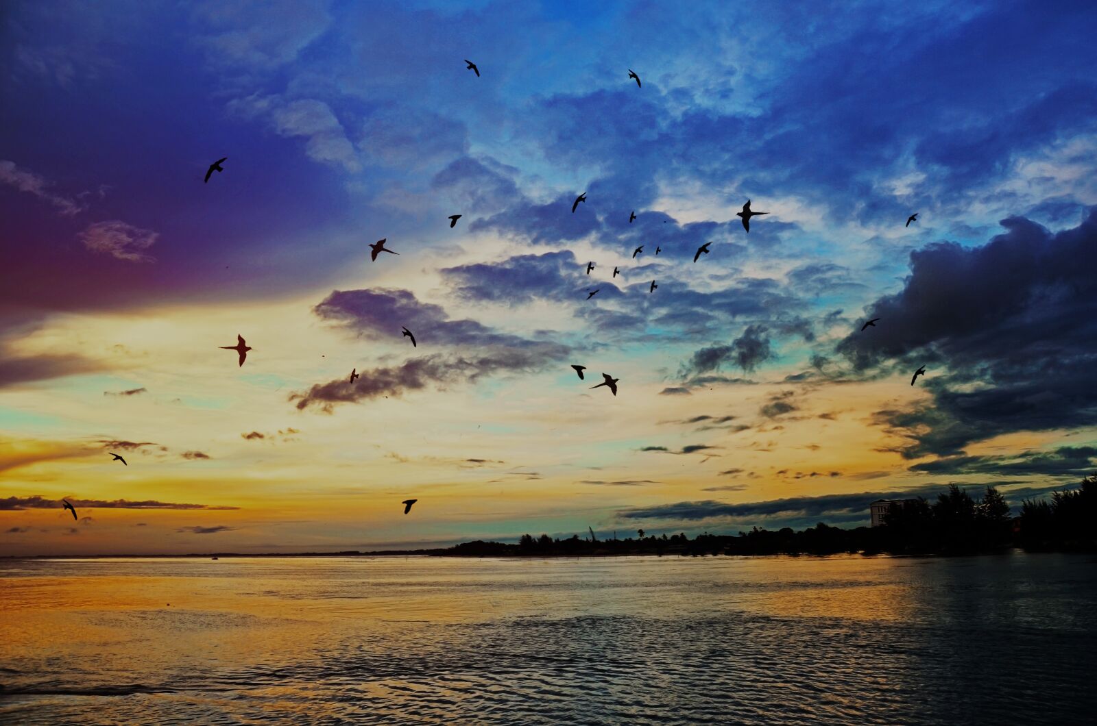 Nikon D7000 sample photo. Sunrise, sea, birds photography