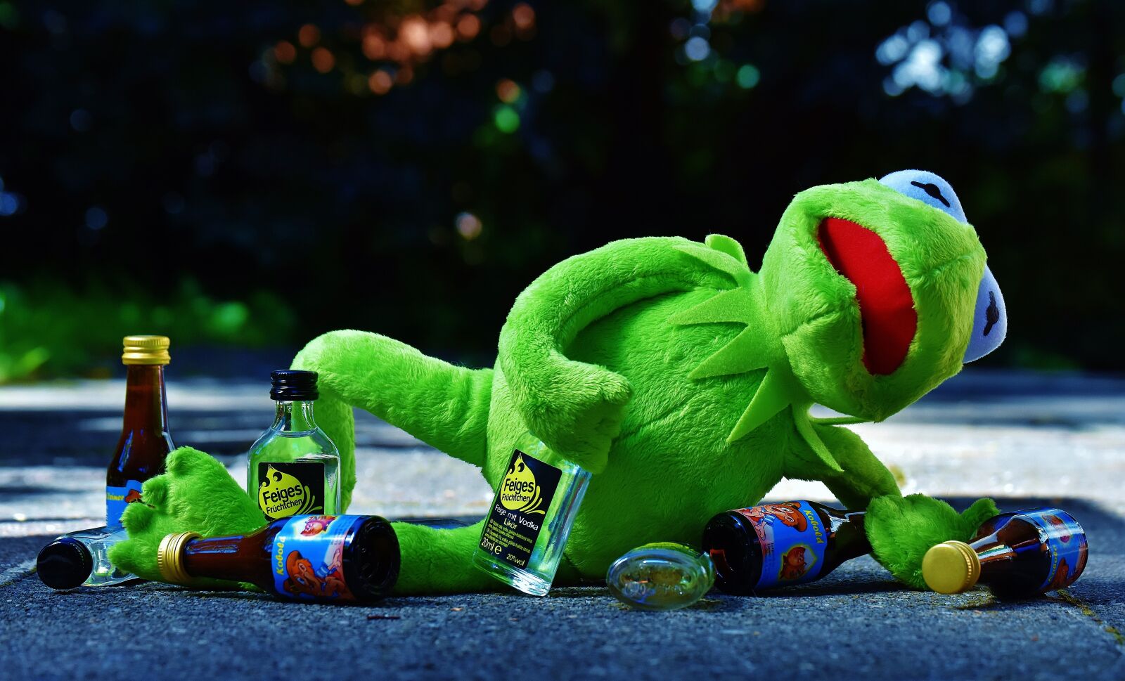 Nikon D7200 sample photo. Kermit, frog, drink photography