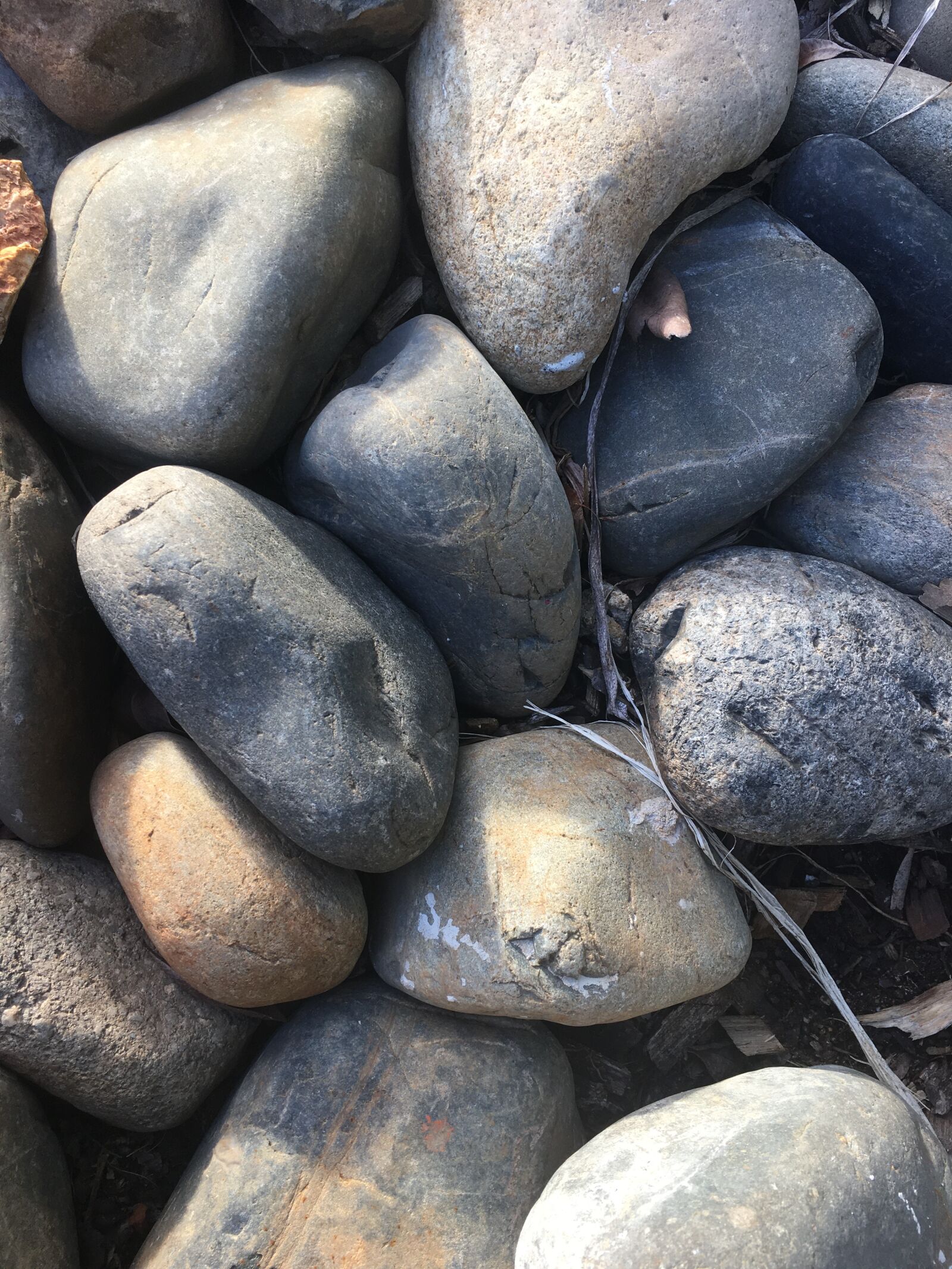 iPhone 6s Plus back camera 4.15mm f/2.2 sample photo. Rocks, pebbles, texture photography