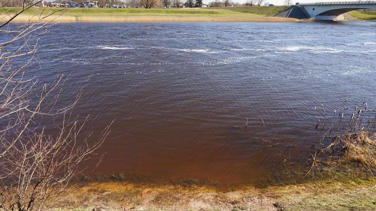 Sony Alpha a5000 (ILCE 5000) sample photo. River, landscape, spring photography