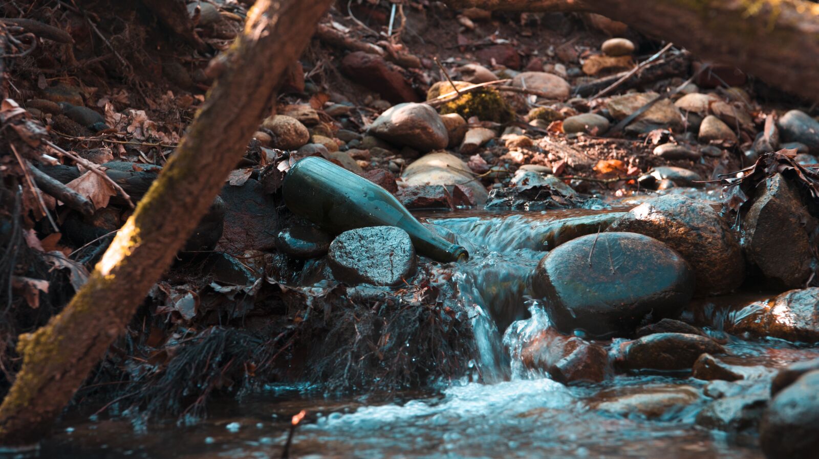 Nikon D750 sample photo. Bottle, water, glass photography