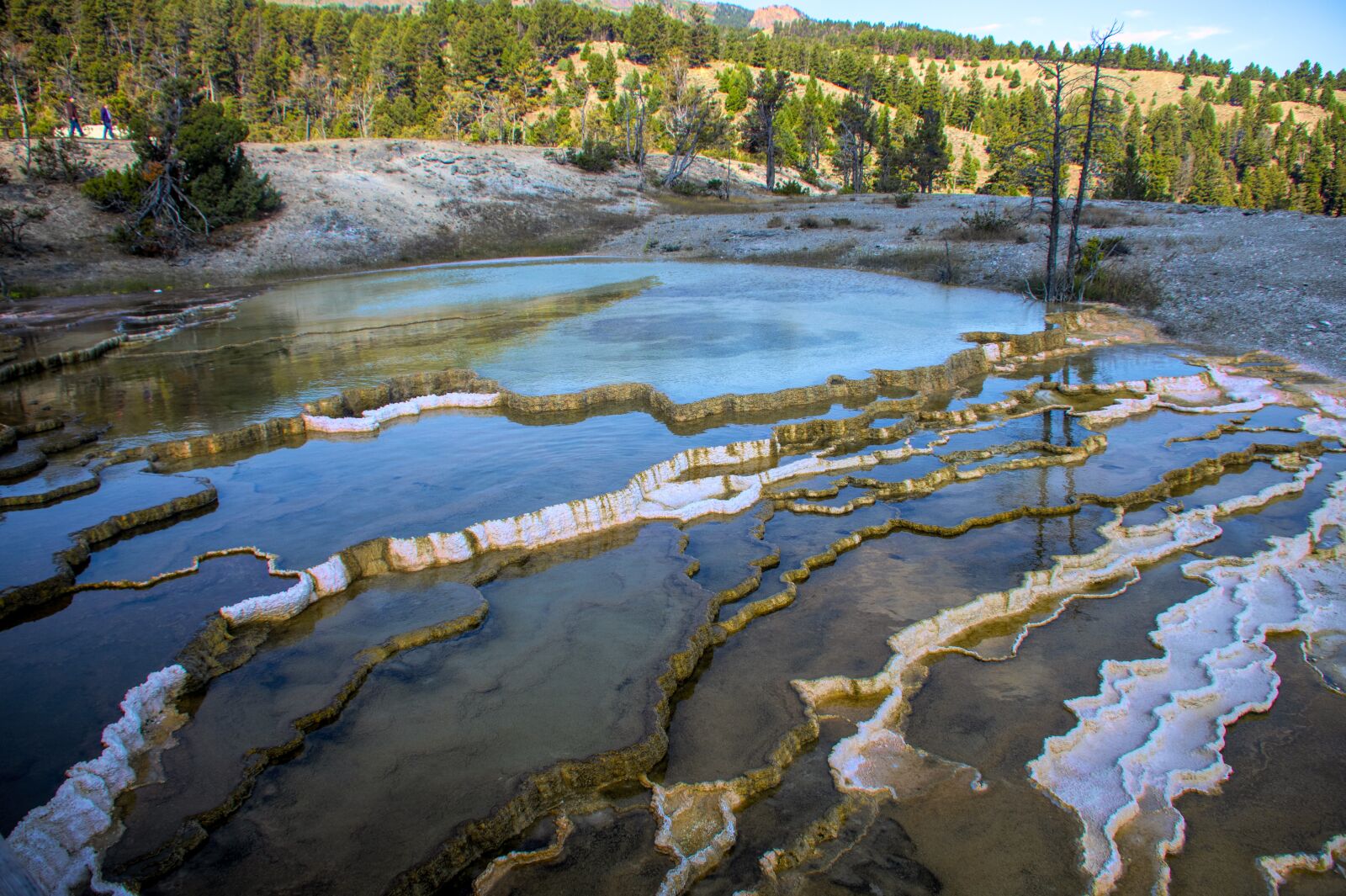 Nikon D850 sample photo. Yellowstone, thermals, park photography