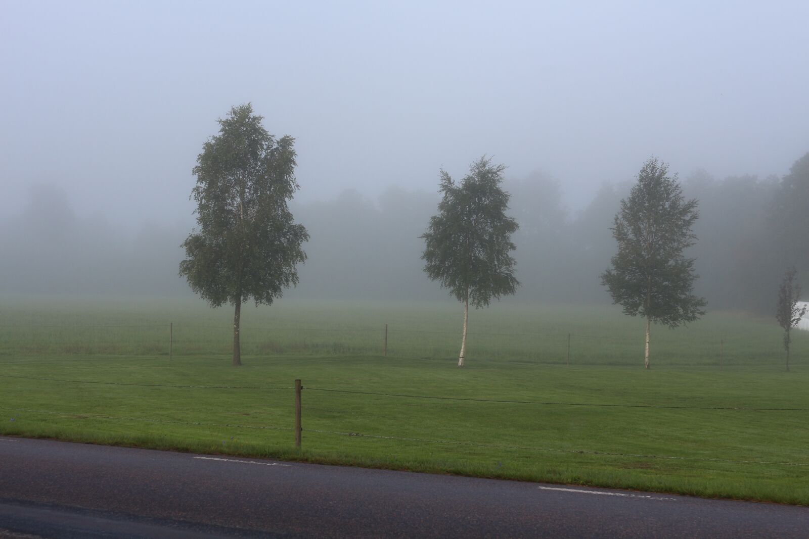 Canon EOS 650D (EOS Rebel T4i / EOS Kiss X6i) sample photo. Mist, tree, landscapes photography