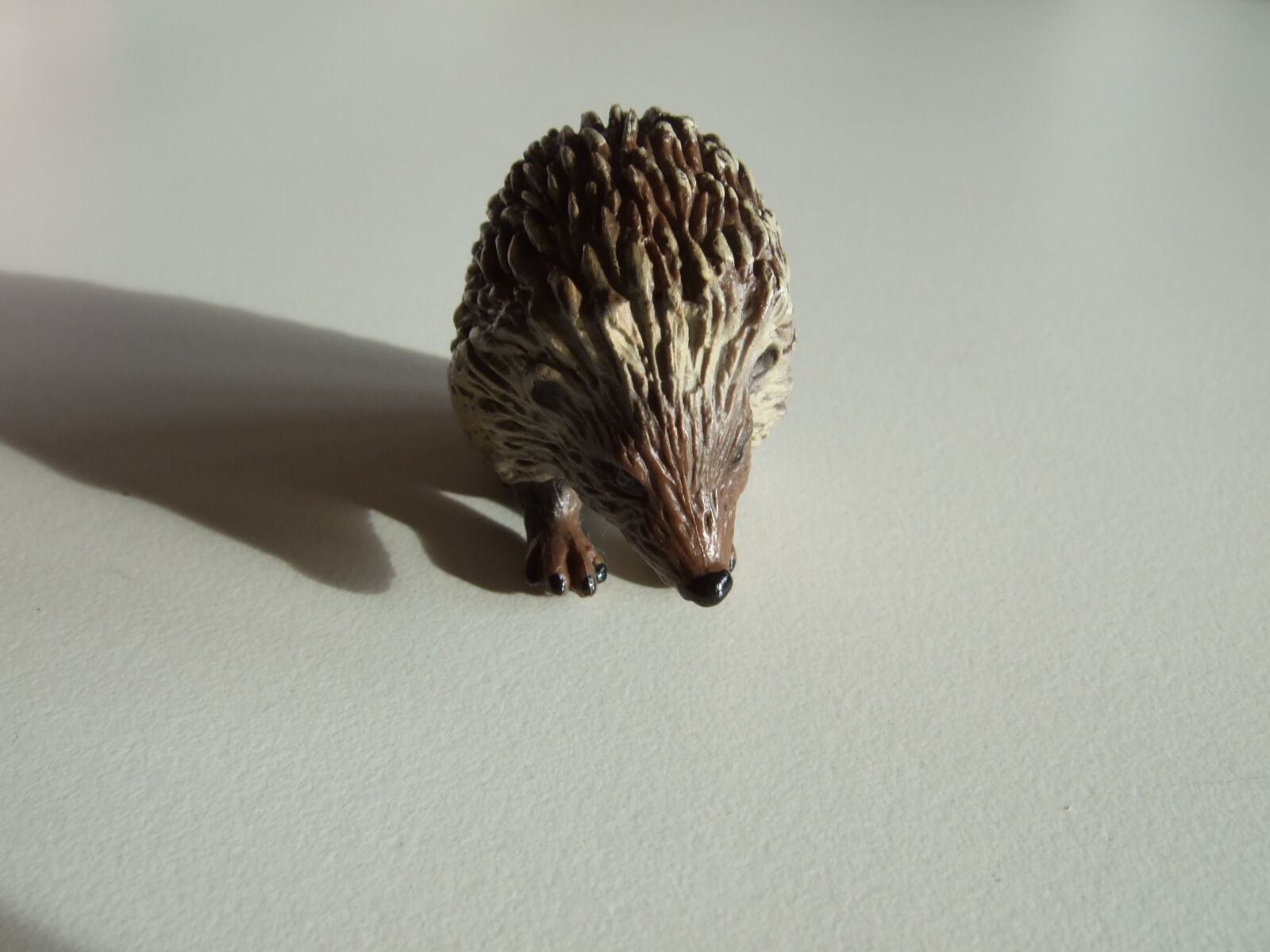 Fujifilm FinePix F30 sample photo. Hedgehog, animals, nature photography