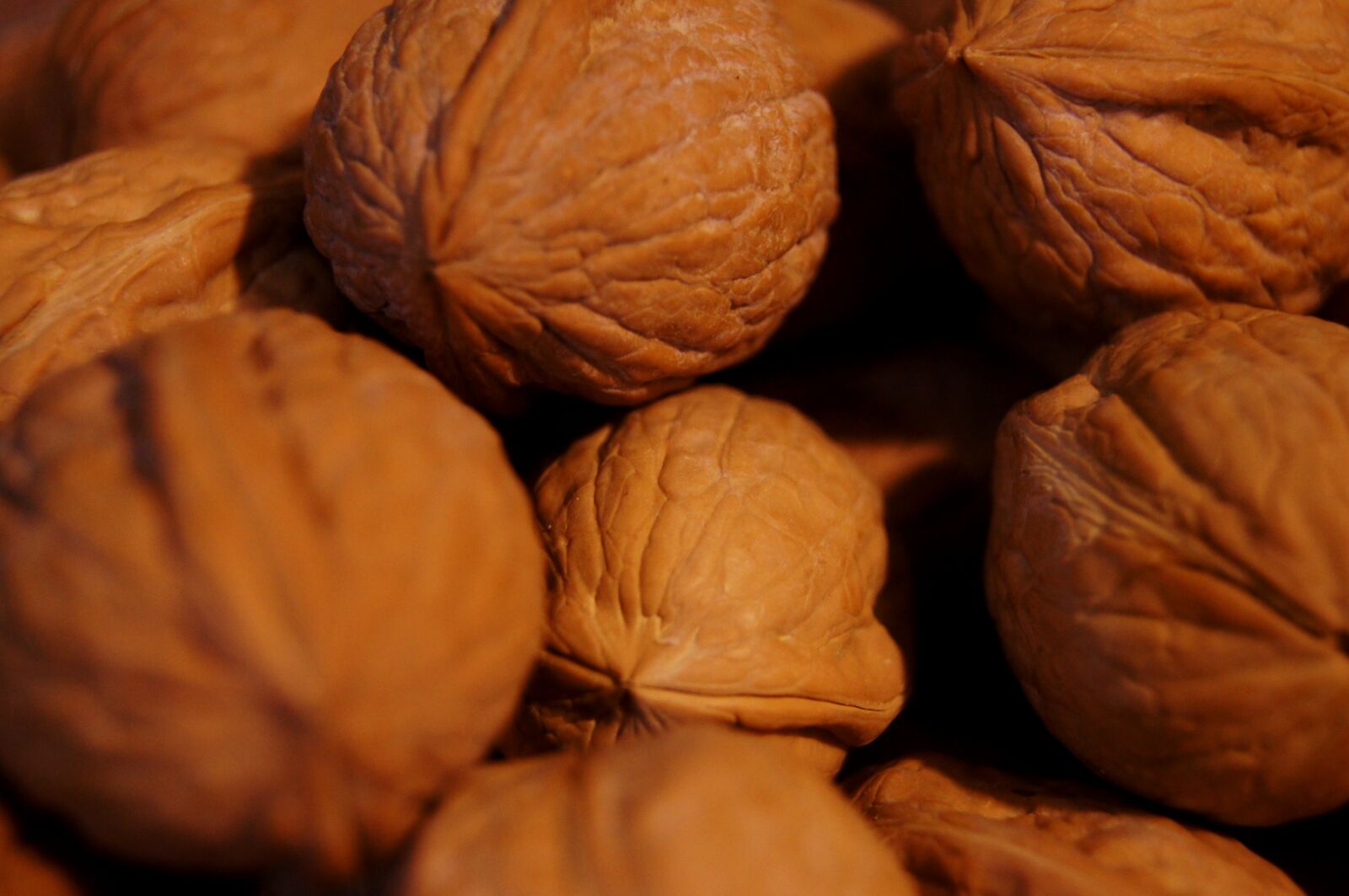 Sony SLT-A55 (SLT-A55V) sample photo. Fruit, walnuts, nut photography