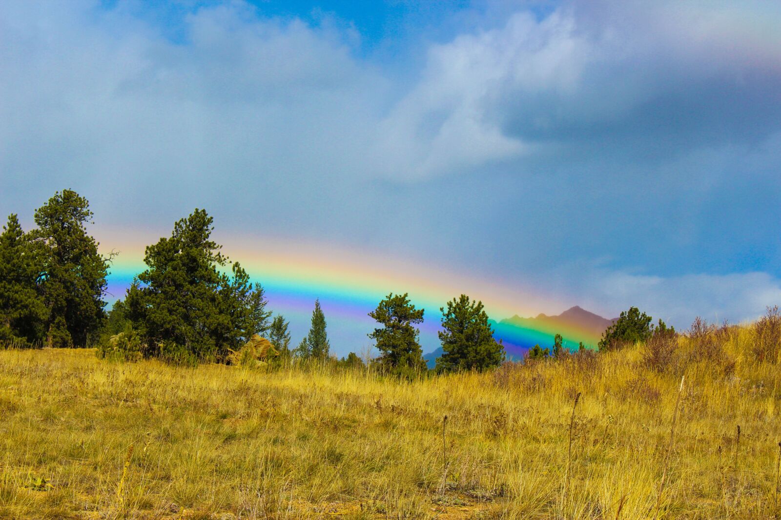 Canon EOS 1200D (EOS Rebel T5 / EOS Kiss X70 / EOS Hi) sample photo. Rainbow, colorado, colorful photography
