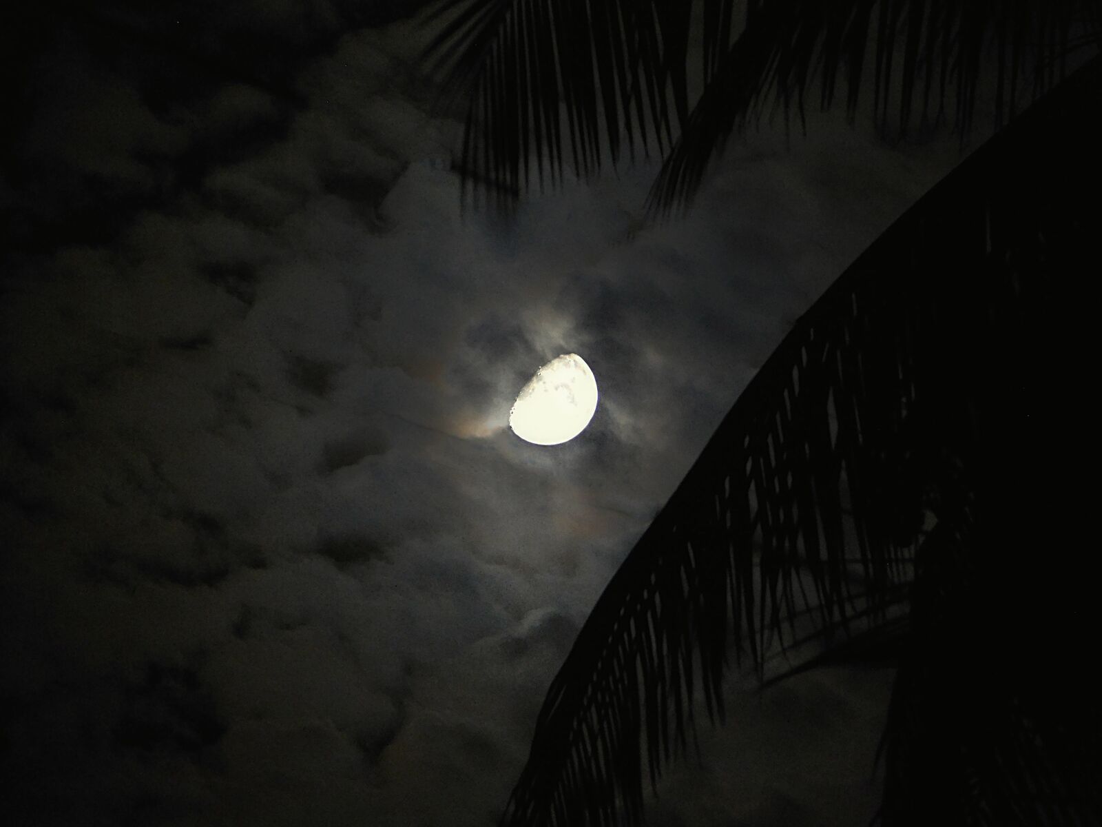 Nikon Coolpix B500 sample photo. Moon, night, sky photography