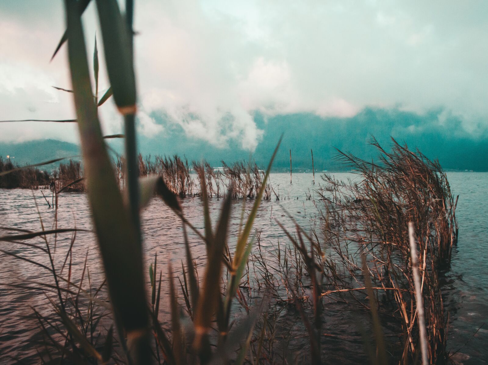 Nikon D5200 sample photo. Bedugul, bali, indonesia photography