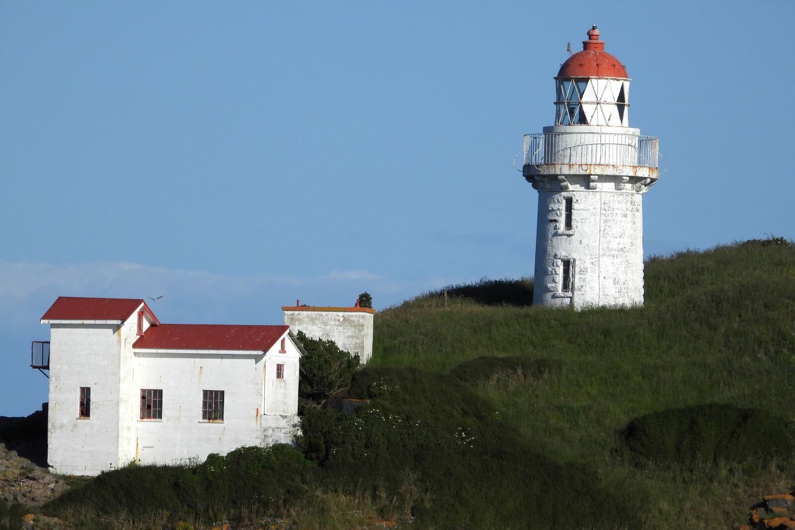 Nikon Coolpix P1000 sample photo. Lighthouse, nz, coast photography