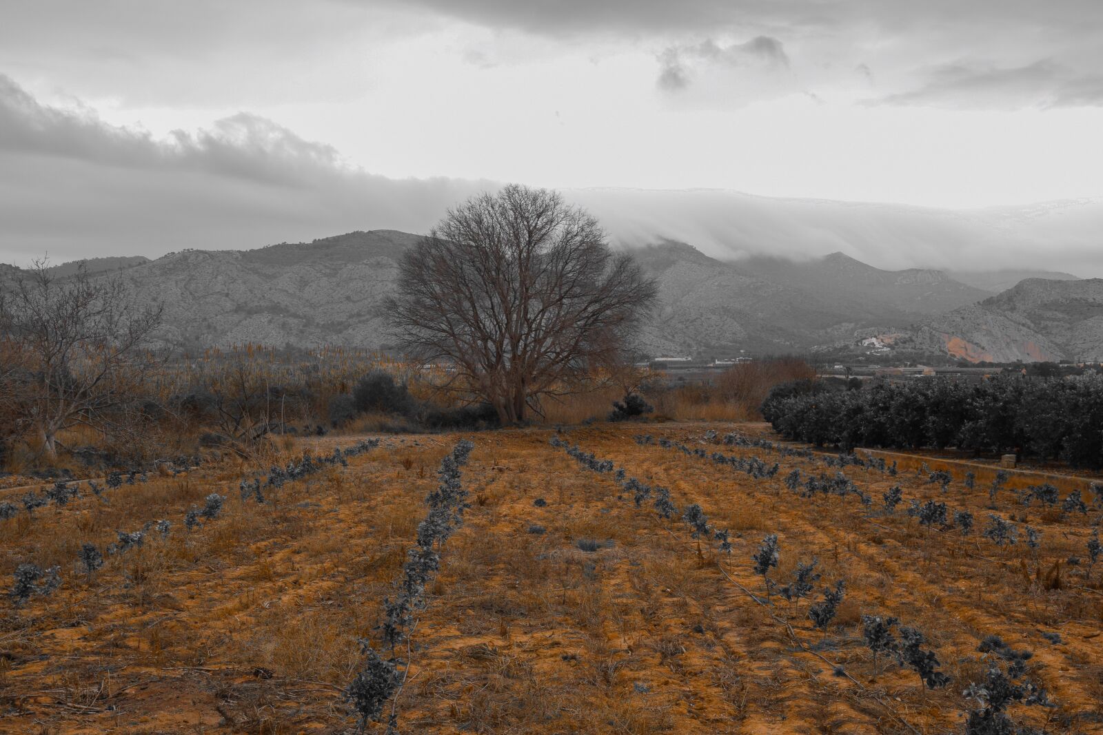 Nikon D5300 sample photo. Nature, landscape, panoramic photography
