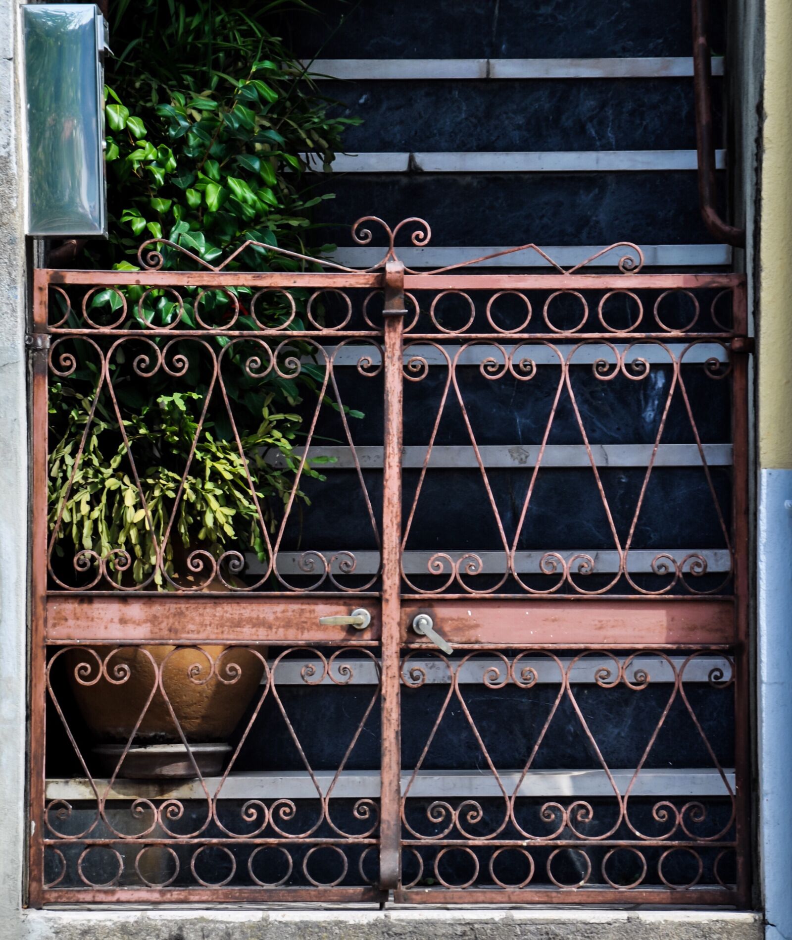 Nikon D90 sample photo. Gate, stairs, plants photography