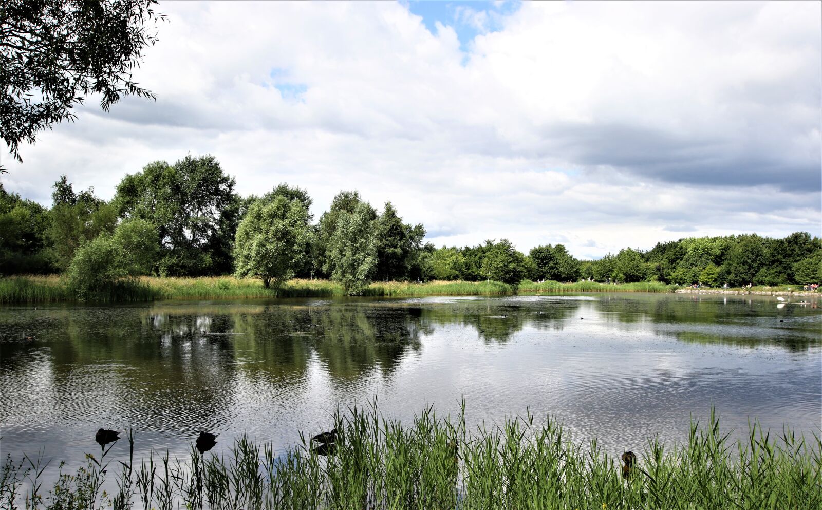 Canon EOS 7D Mark II sample photo. Landscape, lake, nature photography