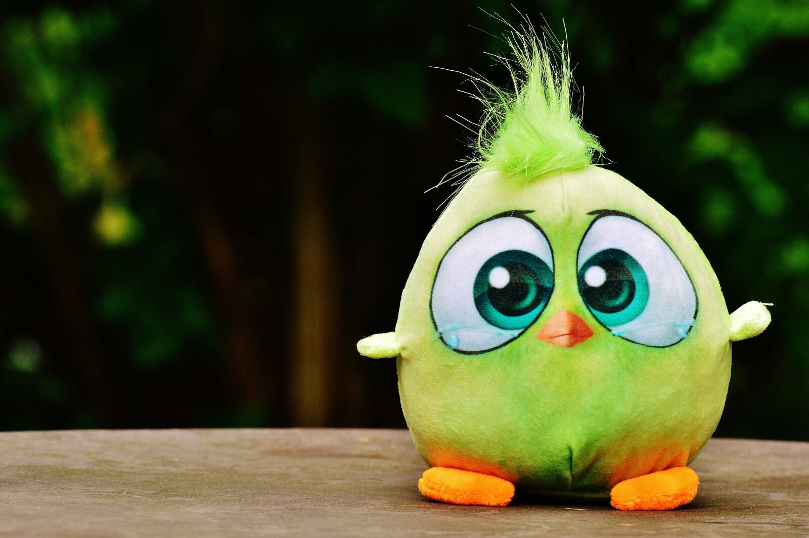 Nikon D3200 sample photo. Bird, birdie, plush photography