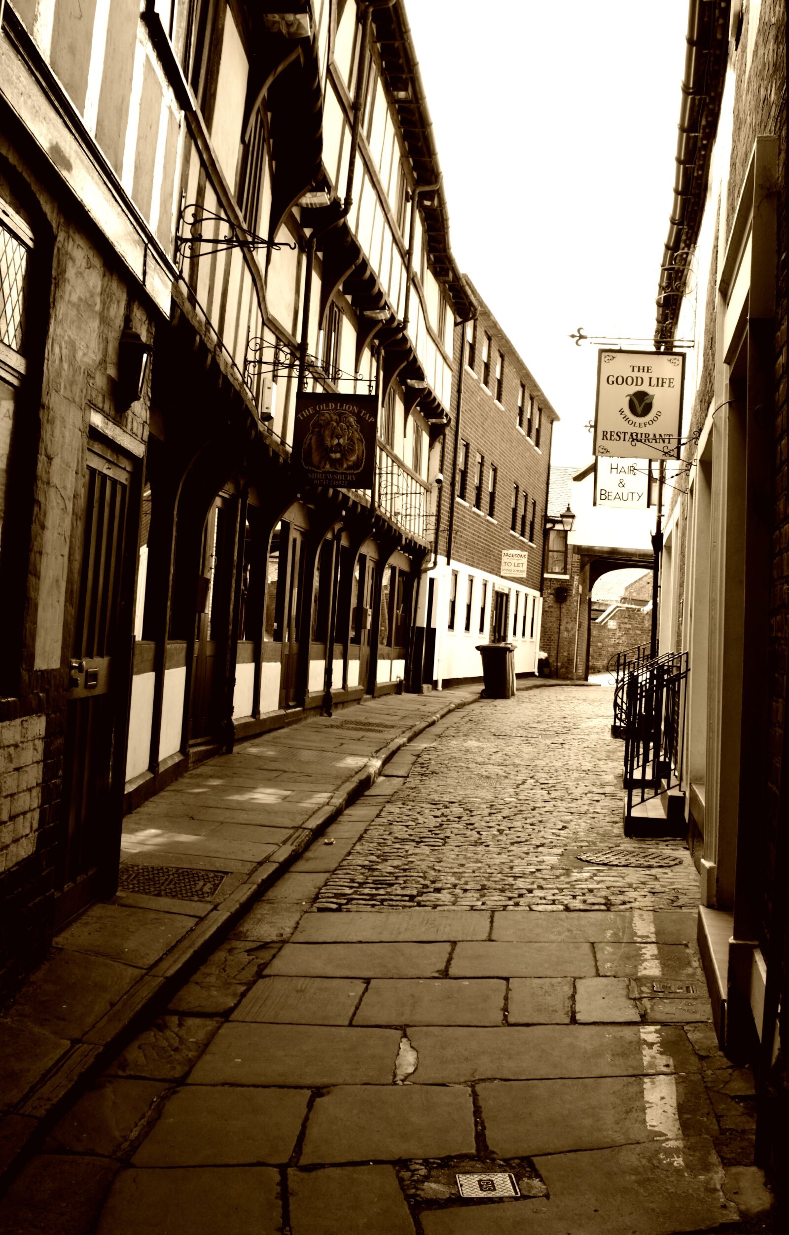 Canon EOS 550D (EOS Rebel T2i / EOS Kiss X4) sample photo. Alley, architecture, black, and photography