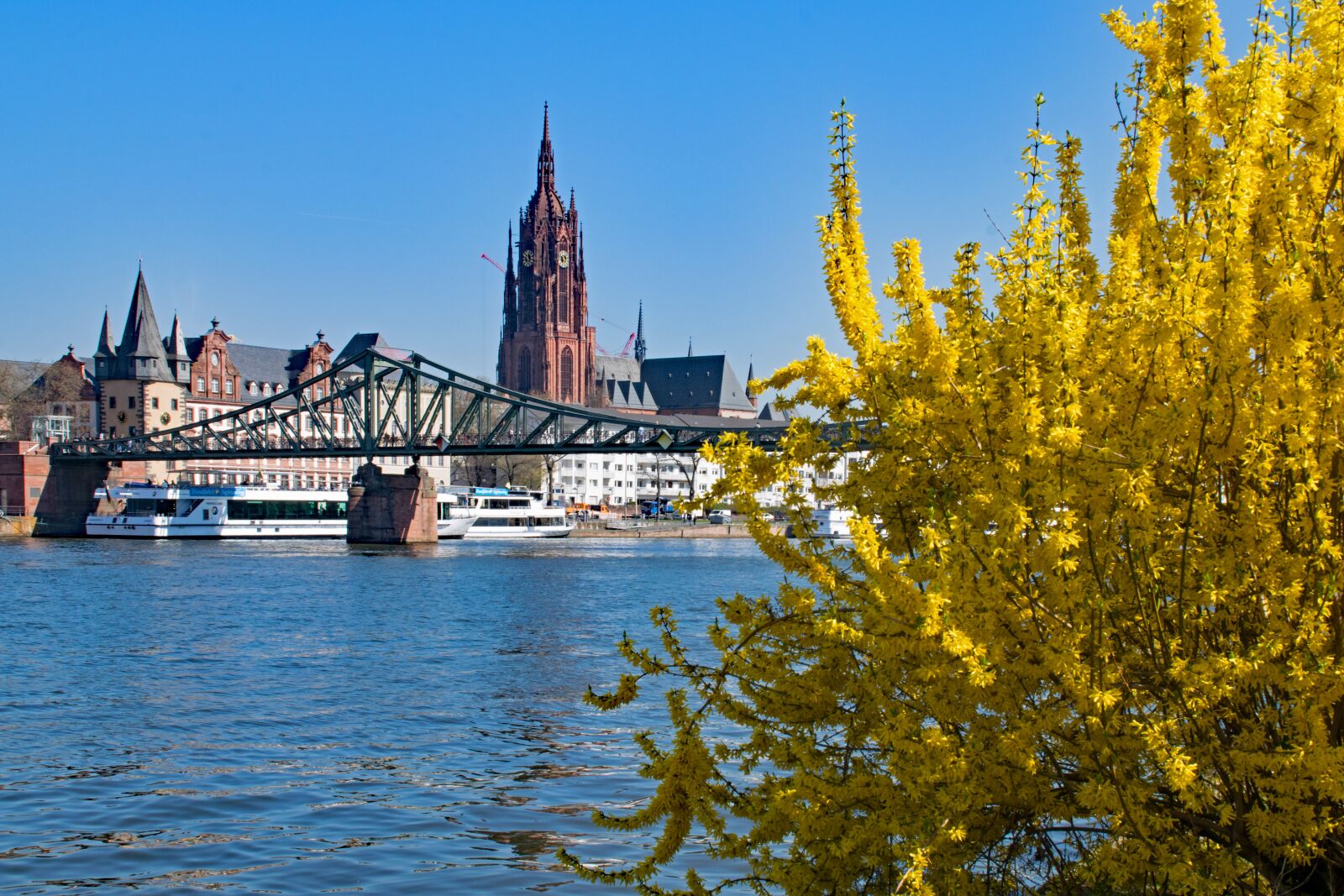 Nikon D5300 sample photo. Frankfurt, main, hesse photography