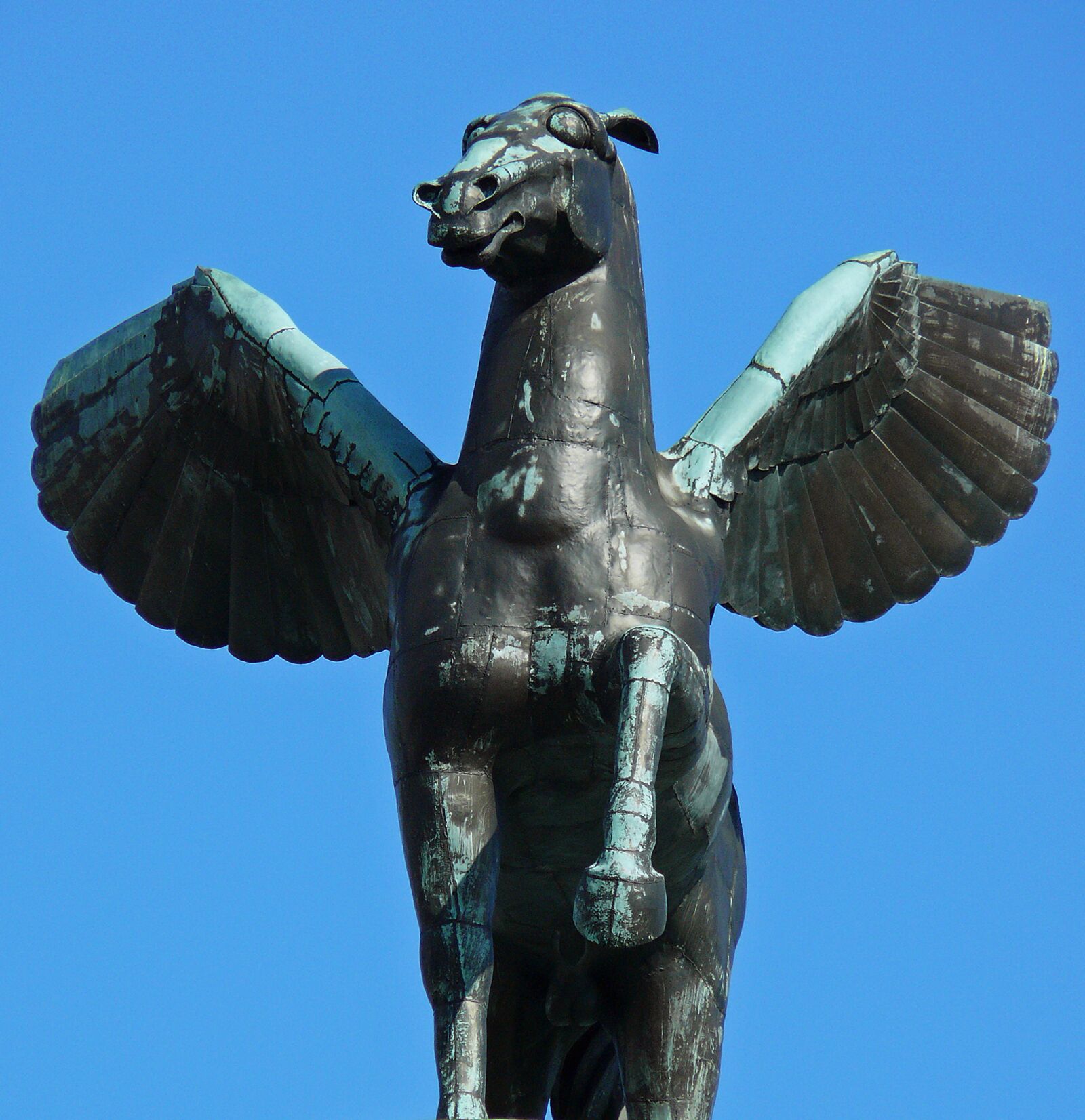 Leica V-LUX 1 sample photo. Pegasos, latin pegasus, rarely photography