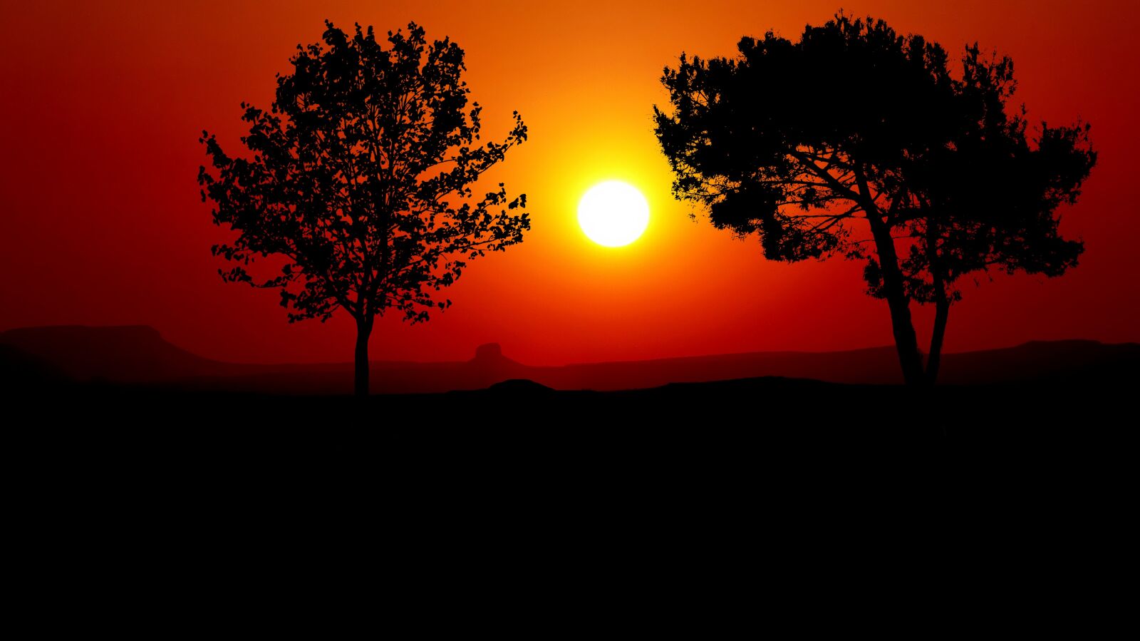 Panasonic Lumix DMC-FZ200 sample photo. Sunset, trees, silhouette photography