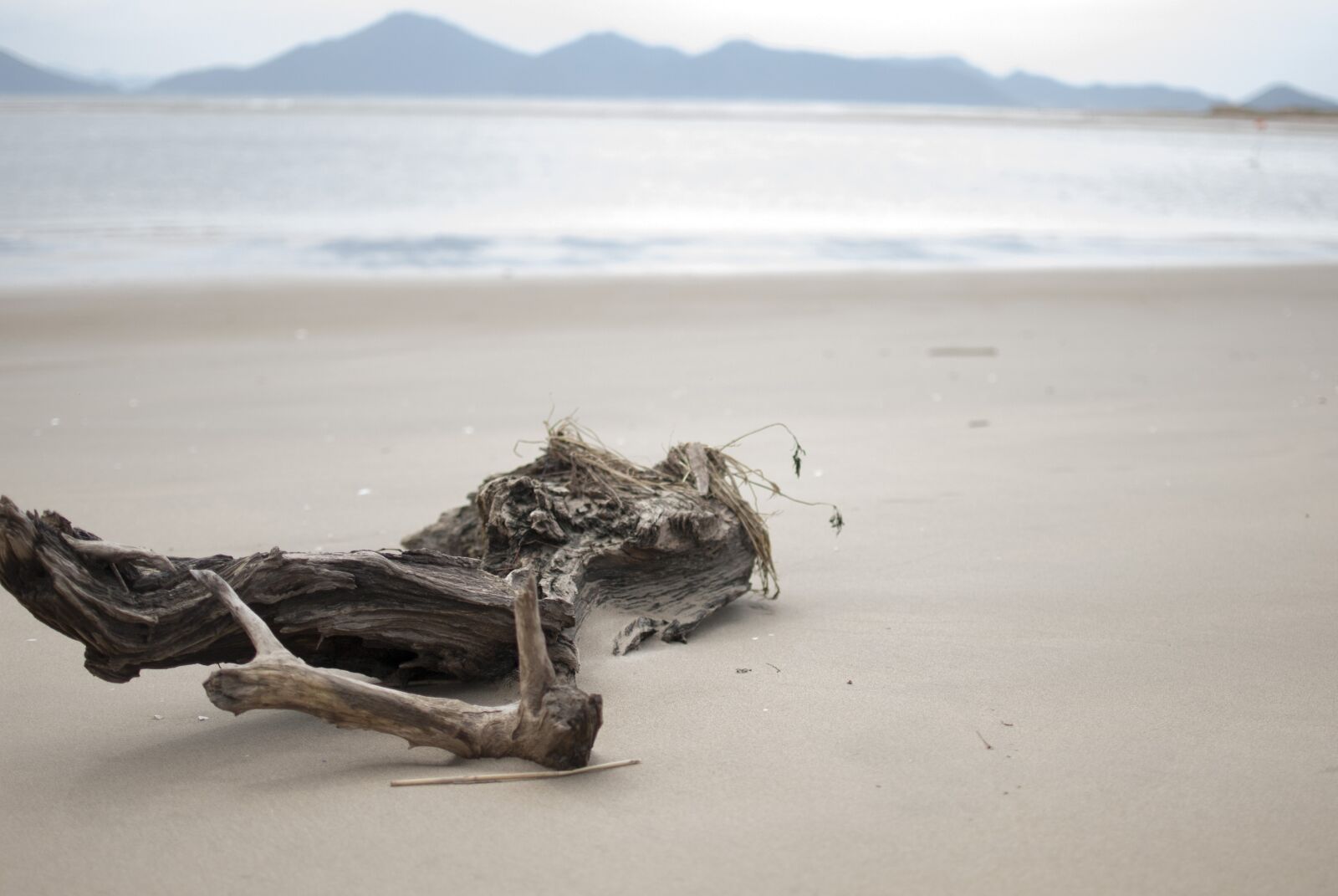 Nikon D200 sample photo. Sand, sea, nature photography