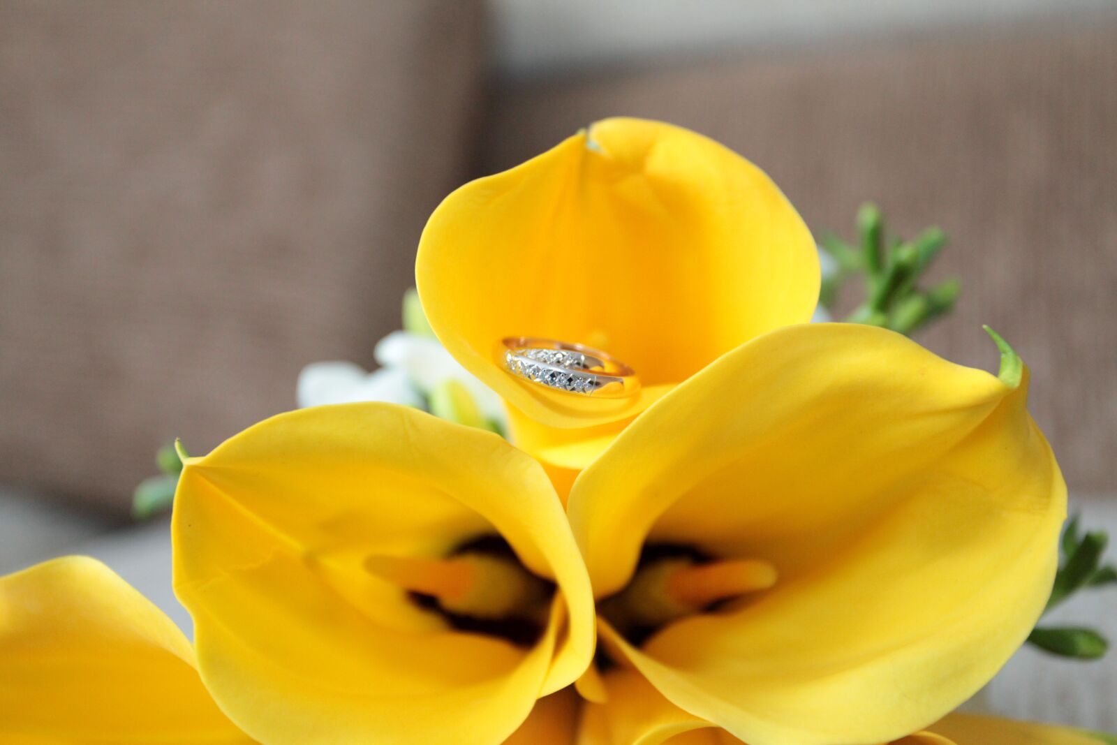 Canon EOS 5D Mark II sample photo. Wedding, flowers, calla lilies photography