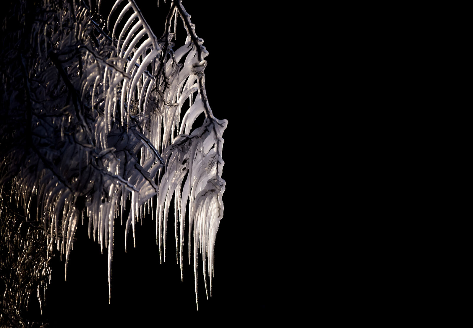 Canon EOS 5D Mark III sample photo. Cold, ice, icicles, winter photography