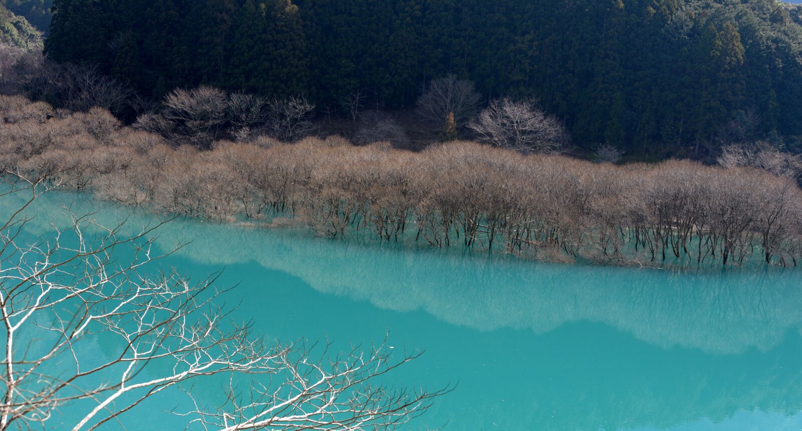 Nikon D750 sample photo. Lake, reflection, water photography