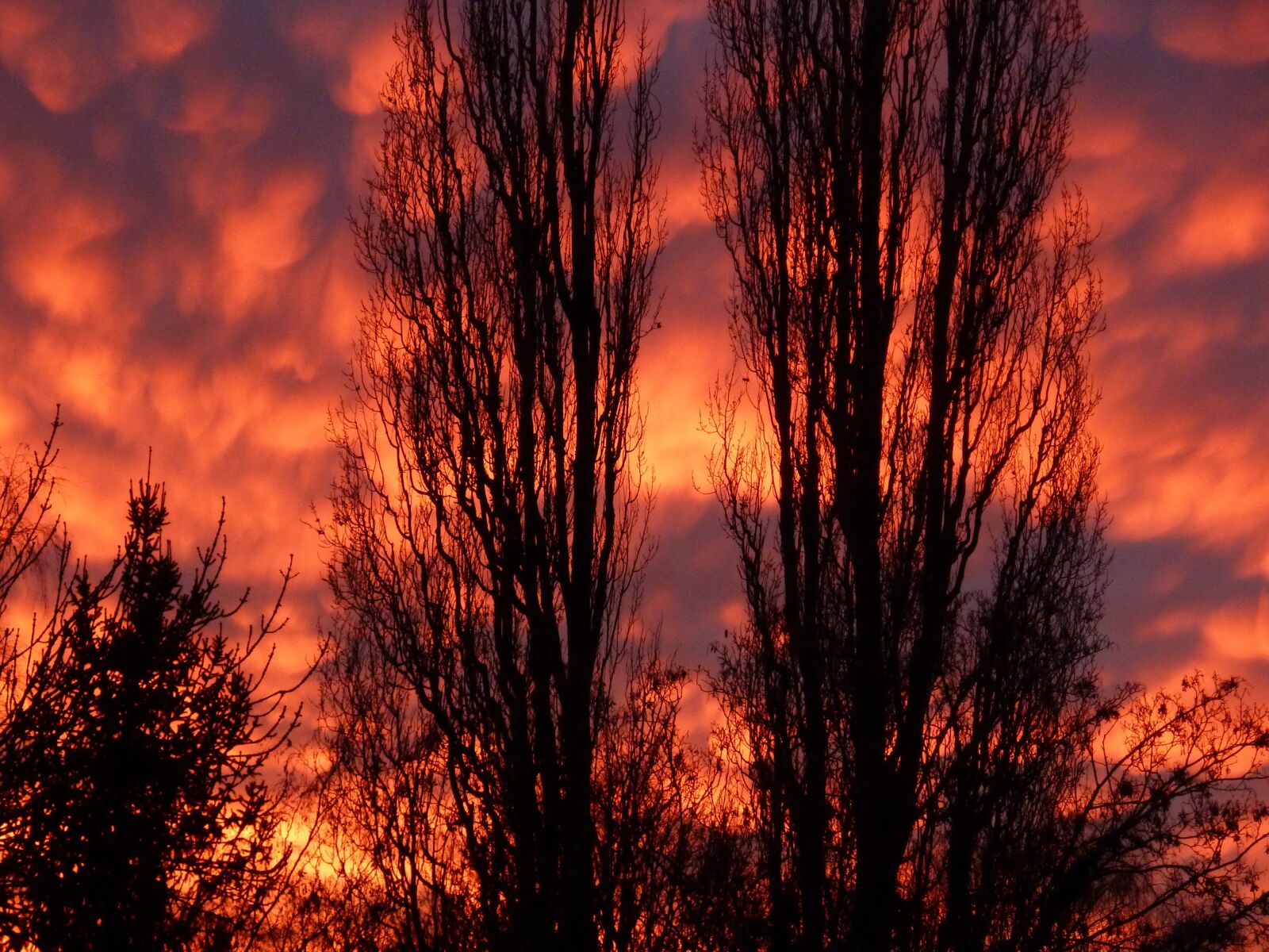 Panasonic Lumix DMC-ZS7 (Lumix DMC-TZ10) sample photo. Afterglow, sunset, evening sky photography