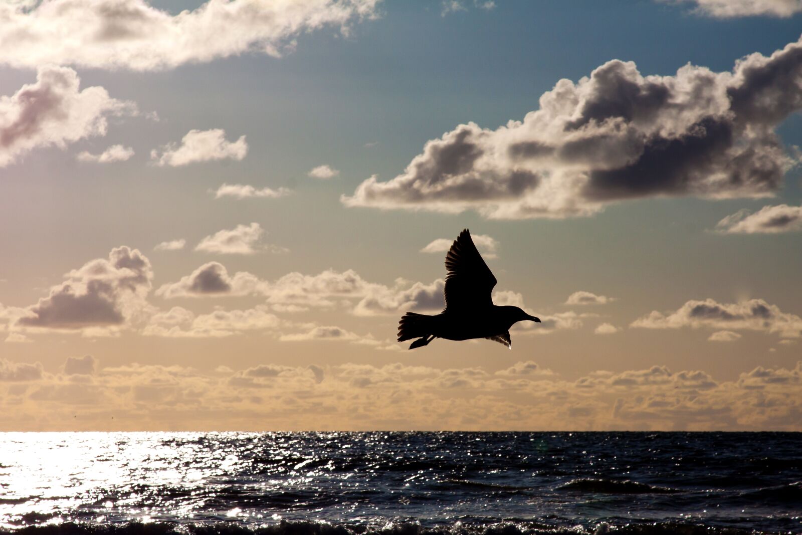 Canon EOS 50D + Canon EF 24-105mm F4L IS USM sample photo. North sea, abendstimmung, sea photography