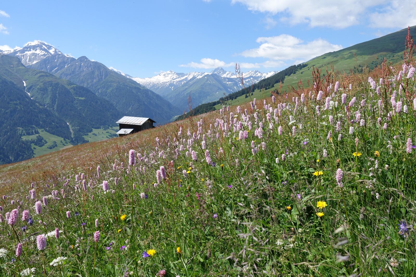 Sony Cyber-shot DSC-RX100 IV sample photo. Mountains, graub nden, mountain photography