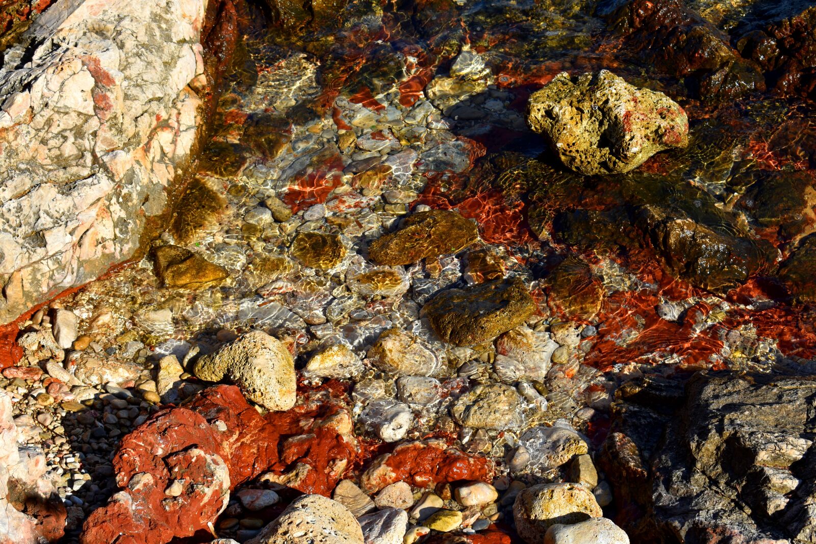 Nikon D3400 sample photo. Reflection, gleam, glint photography