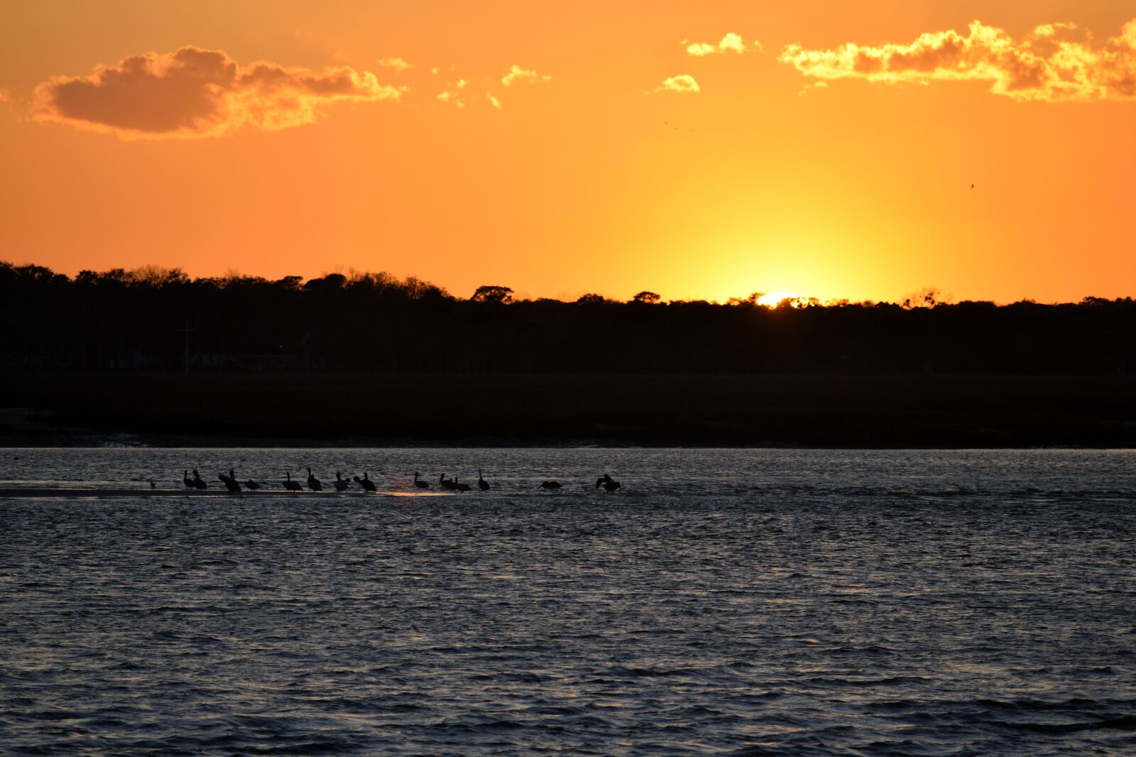 Nikon D3300 sample photo. Sunset, majestic, vibrant photography