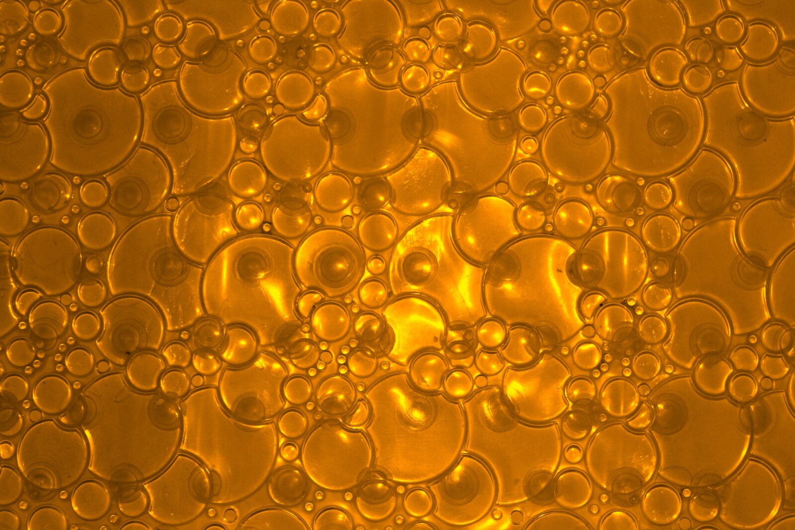 Canon EOS 550D (EOS Rebel T2i / EOS Kiss X4) sample photo. Bubbles, circles, template photography
