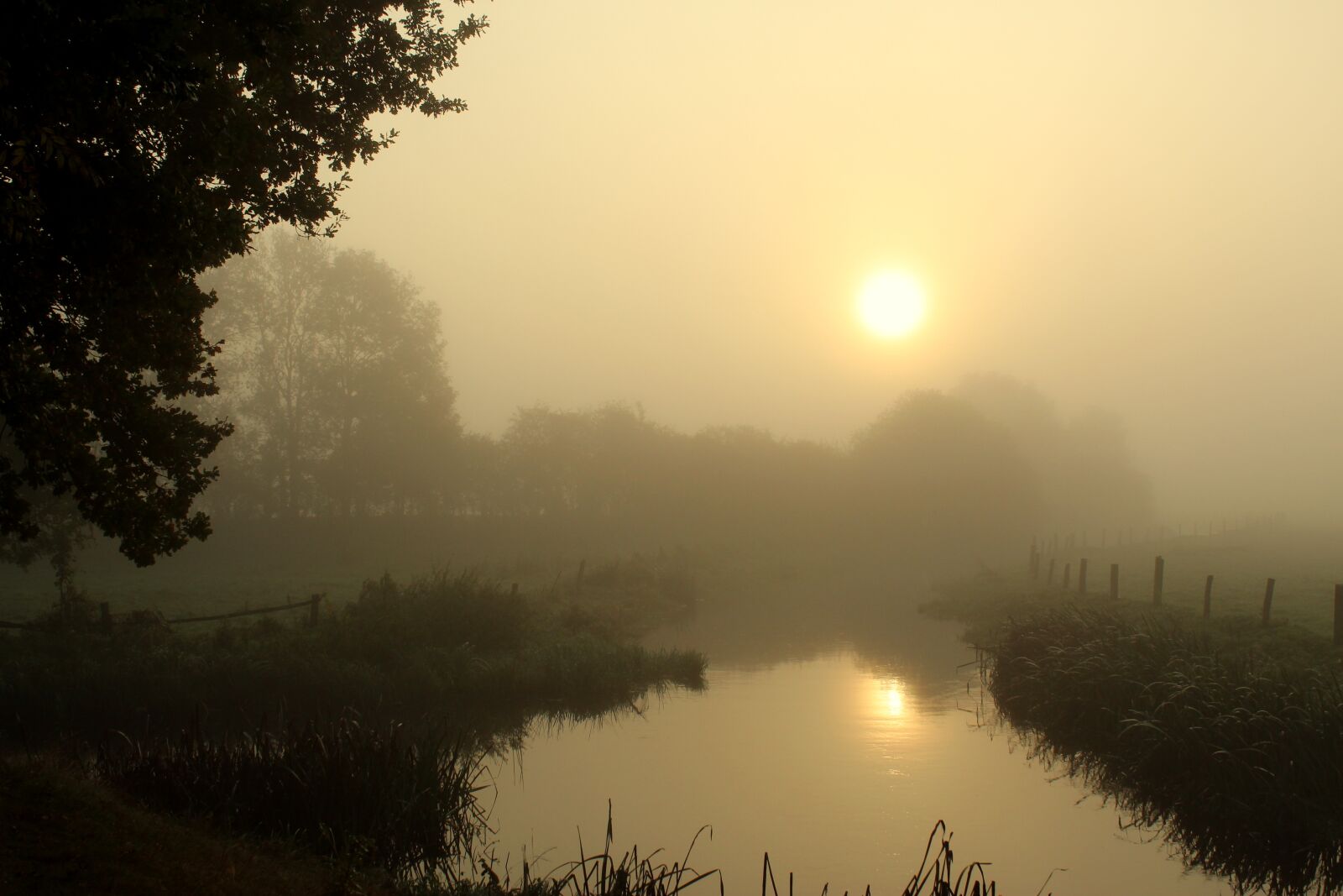 Canon EOS 1300D (EOS Rebel T6 / EOS Kiss X80) sample photo. Sunrise, autumn, mood photography