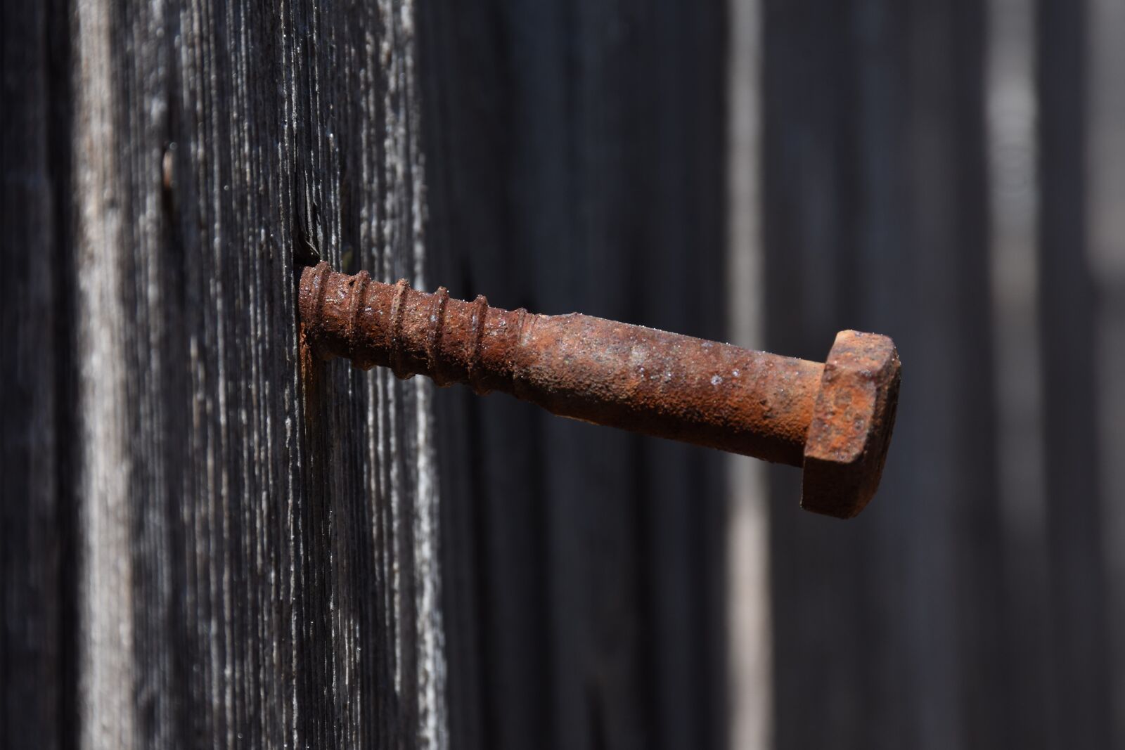 Nikon D7200 sample photo. Wood, old, nail photography