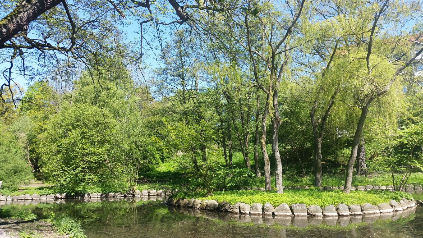 Samsung Galaxy S5 sample photo. Park, forest, tree photography
