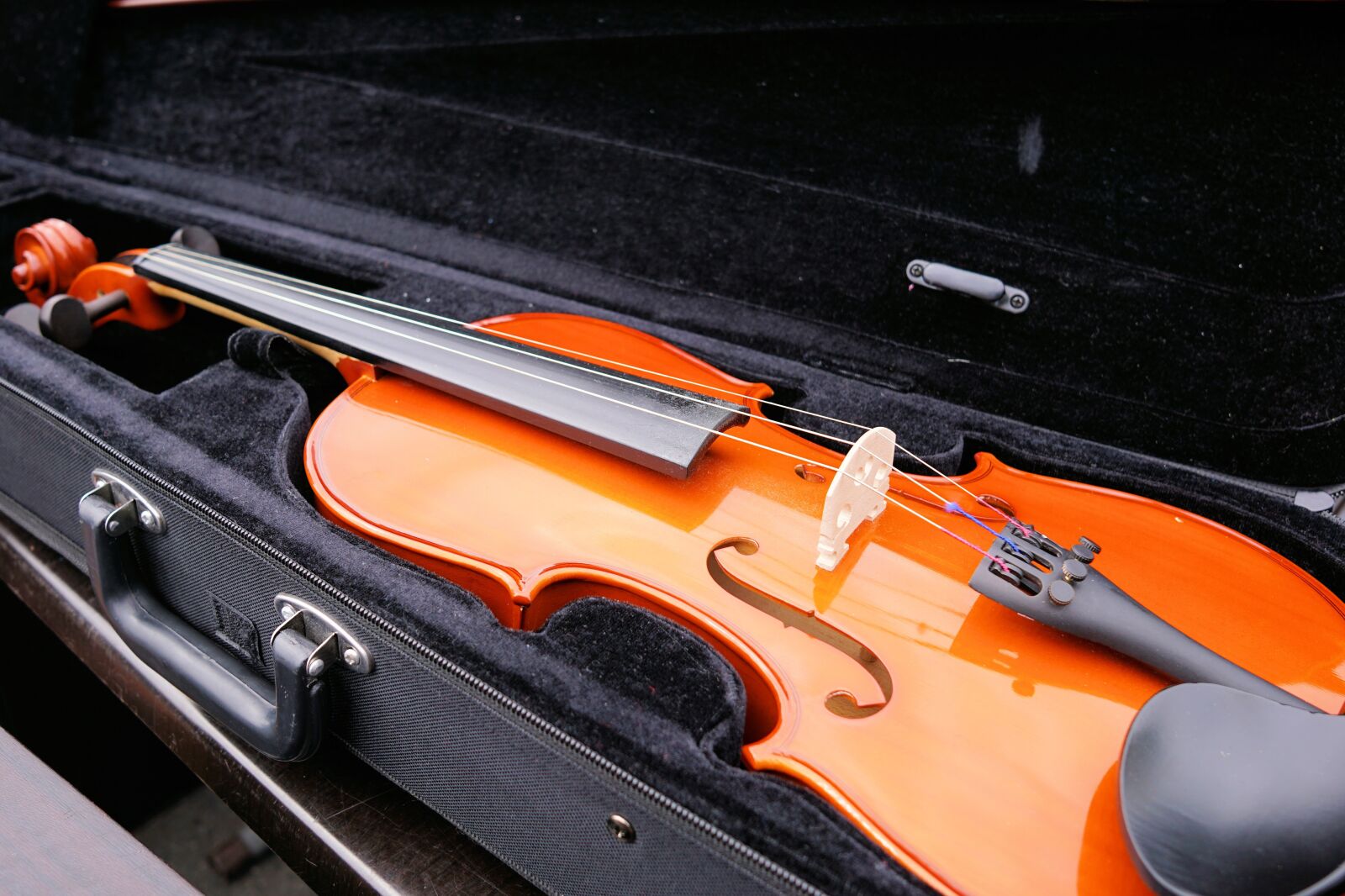 Sony a6000 + Sigma 19mm F2.8 EX DN sample photo. Violin, stringed instrument, instrument photography