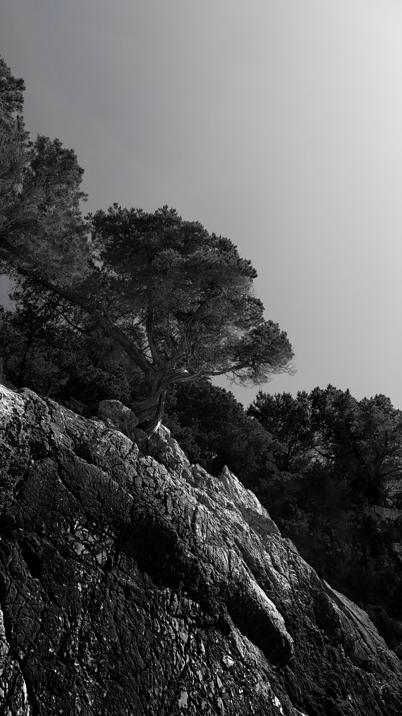Xiaomi Redmi Note 5 sample photo. Black and white, rock photography